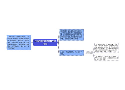 任脉的循行部位及其生理功能