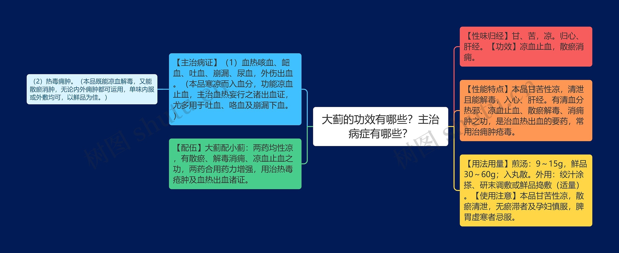 大蓟的功效有哪些？主治病症有哪些？思维导图