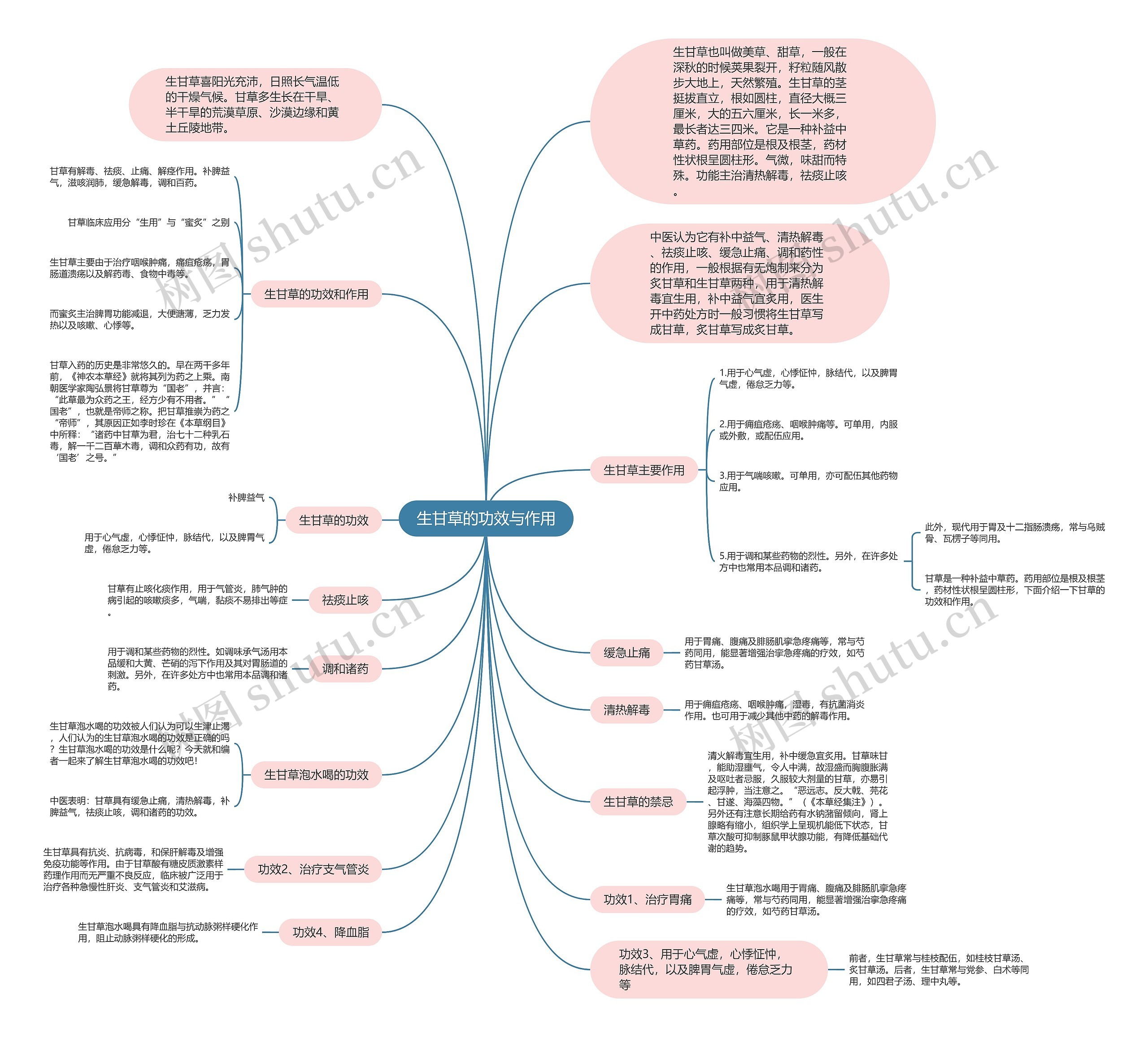 生甘草的功效与作用思维导图