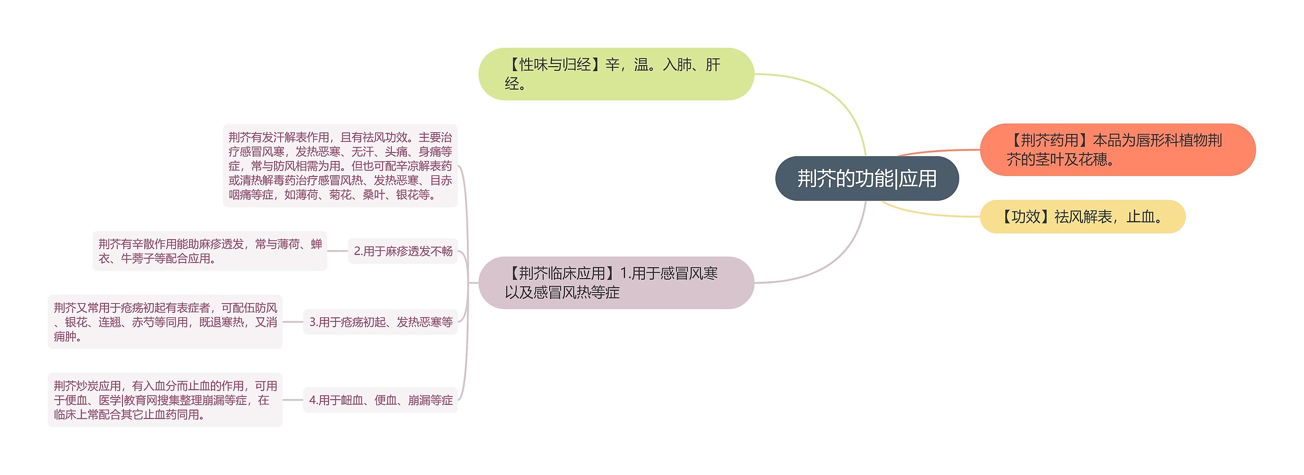 荆芥的功能|应用思维导图