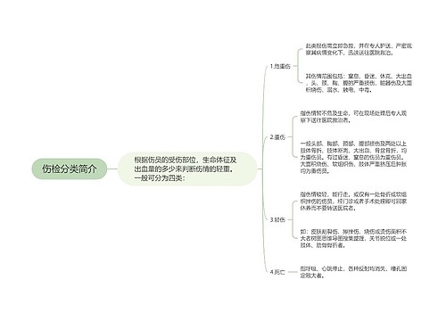 伤检分类简介