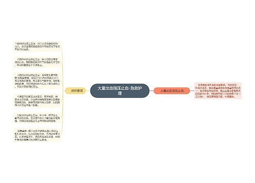 大量出血指压止血-急救护理