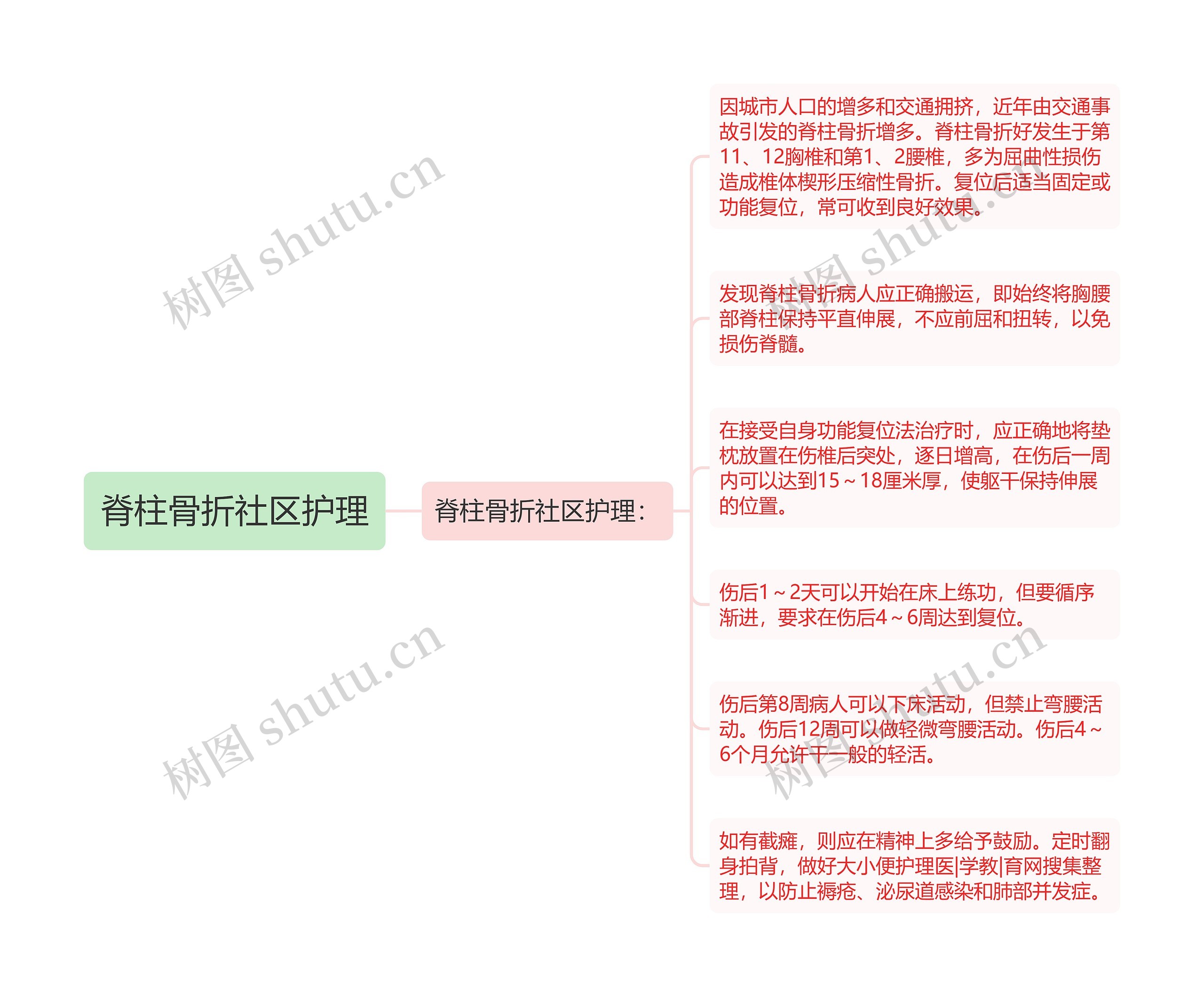 脊柱骨折社区护理思维导图