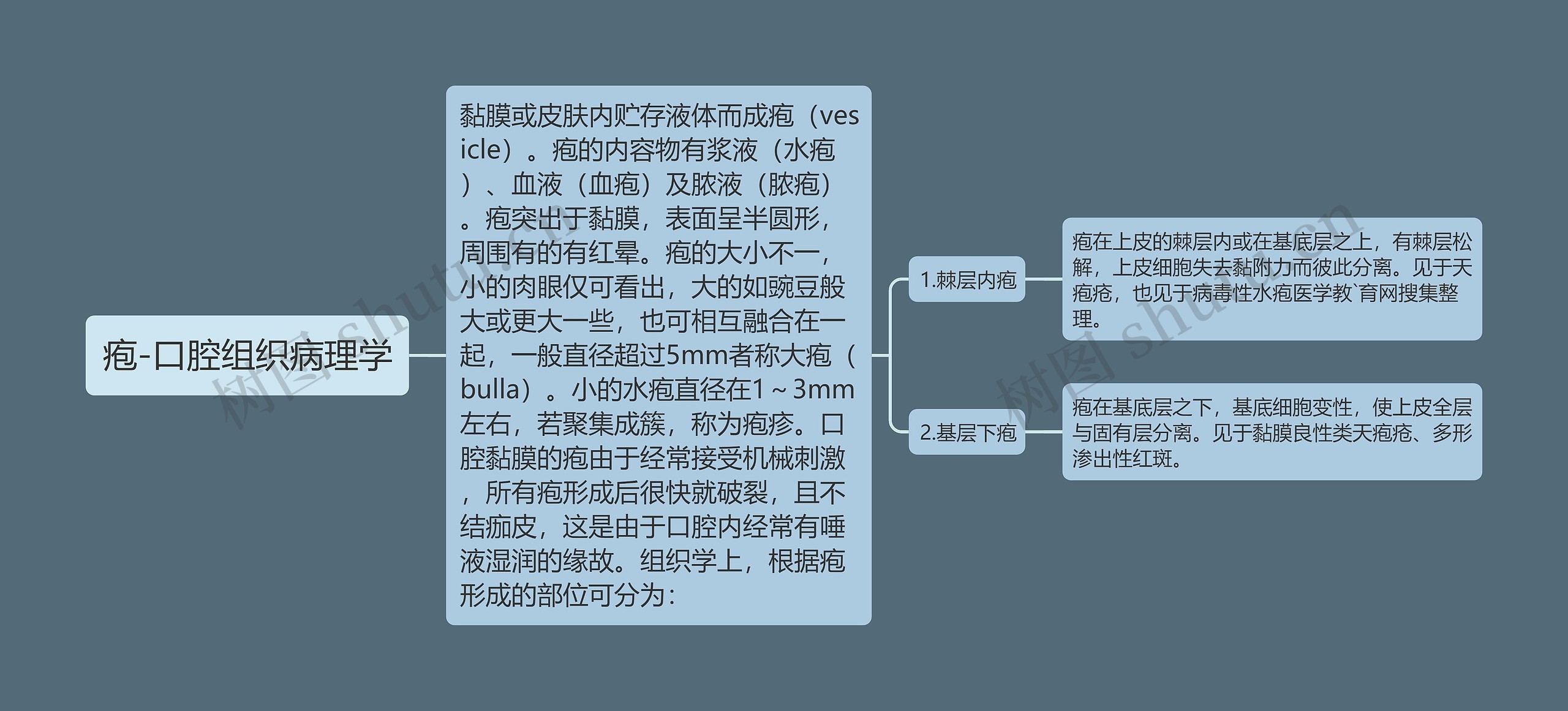 疱-口腔组织病理学思维导图