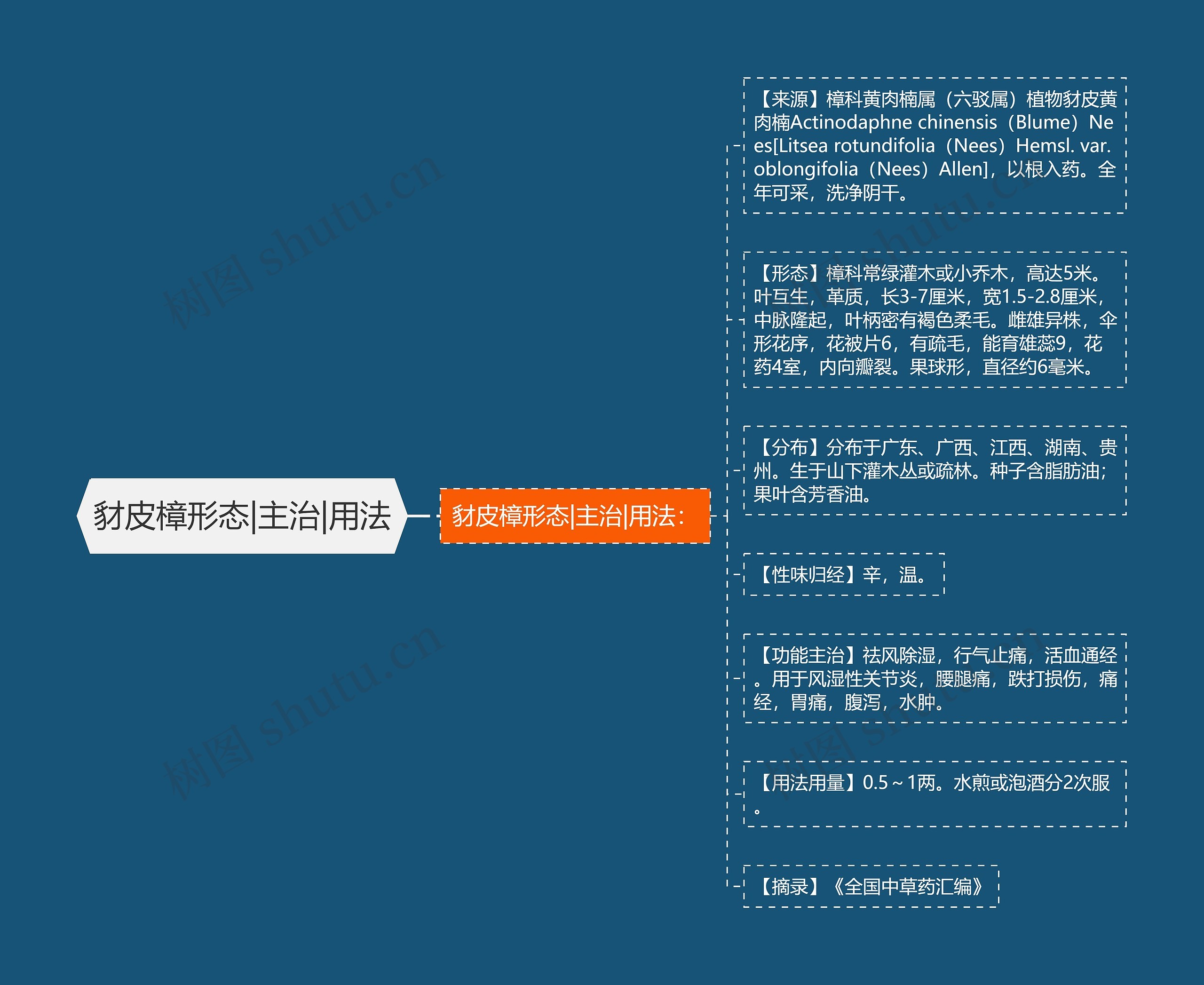 豺皮樟形态|主治|用法 豺皮樟形态|主治|用法