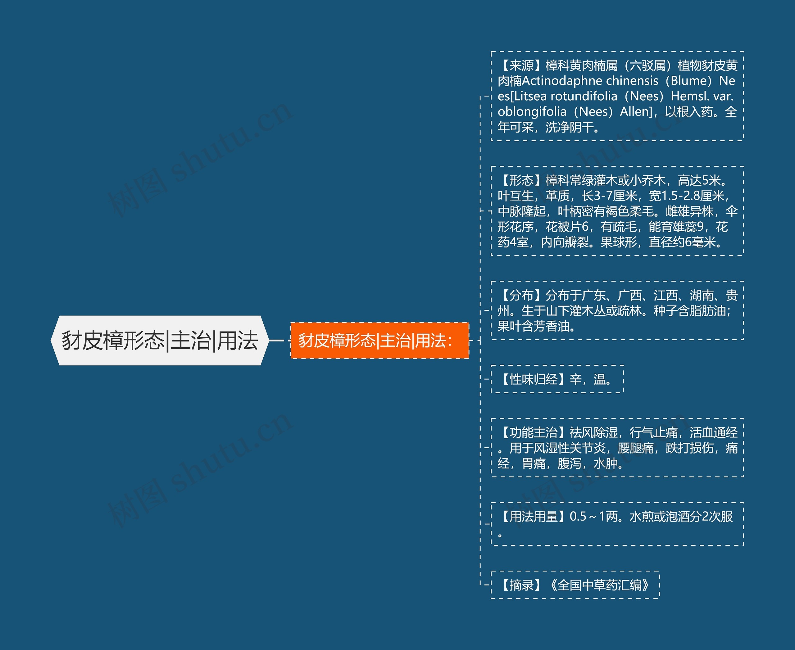 豺皮樟形态|主治|用法思维导图