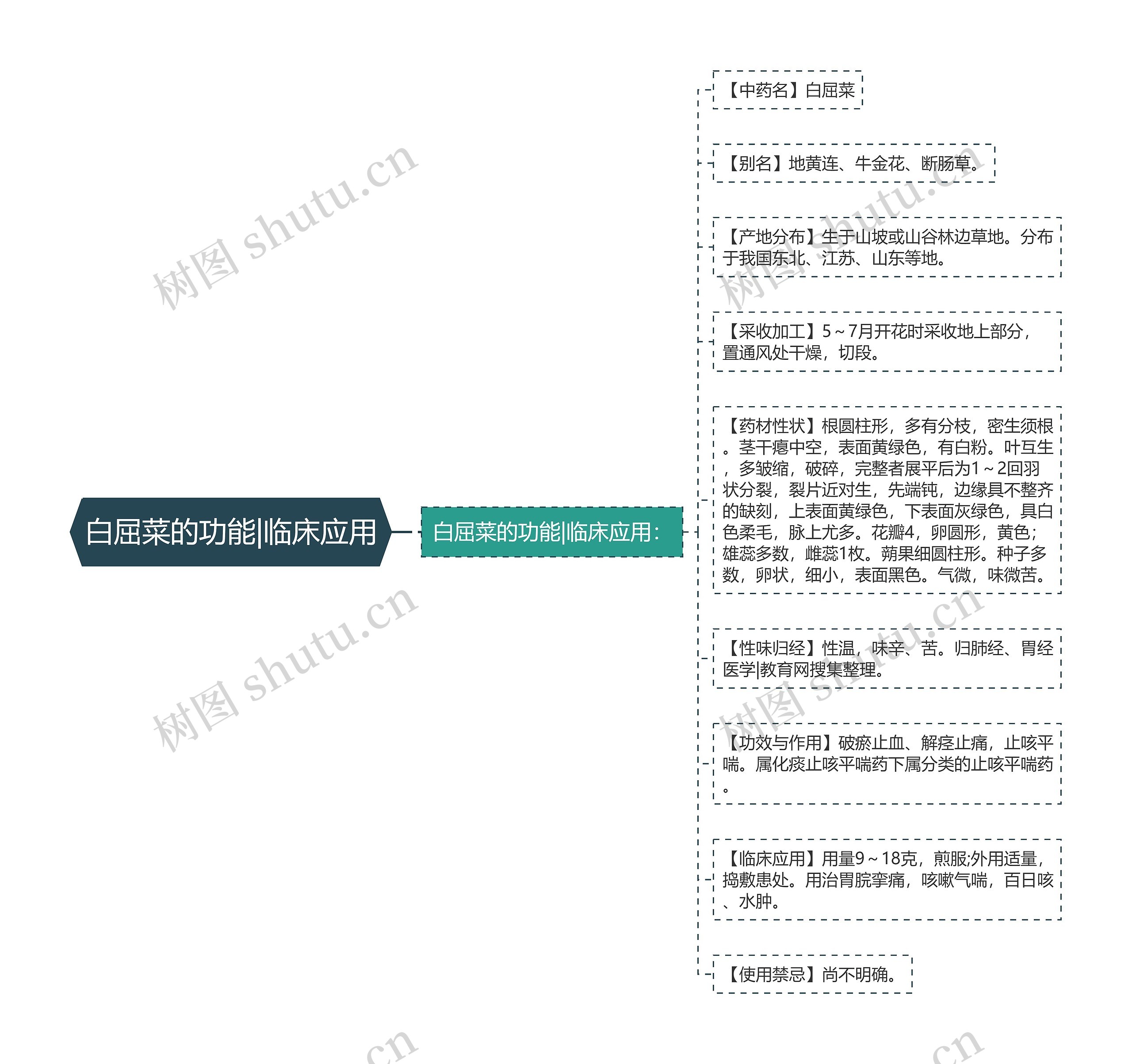 白屈菜的功能|临床应用 白屈菜的功能|临床应用