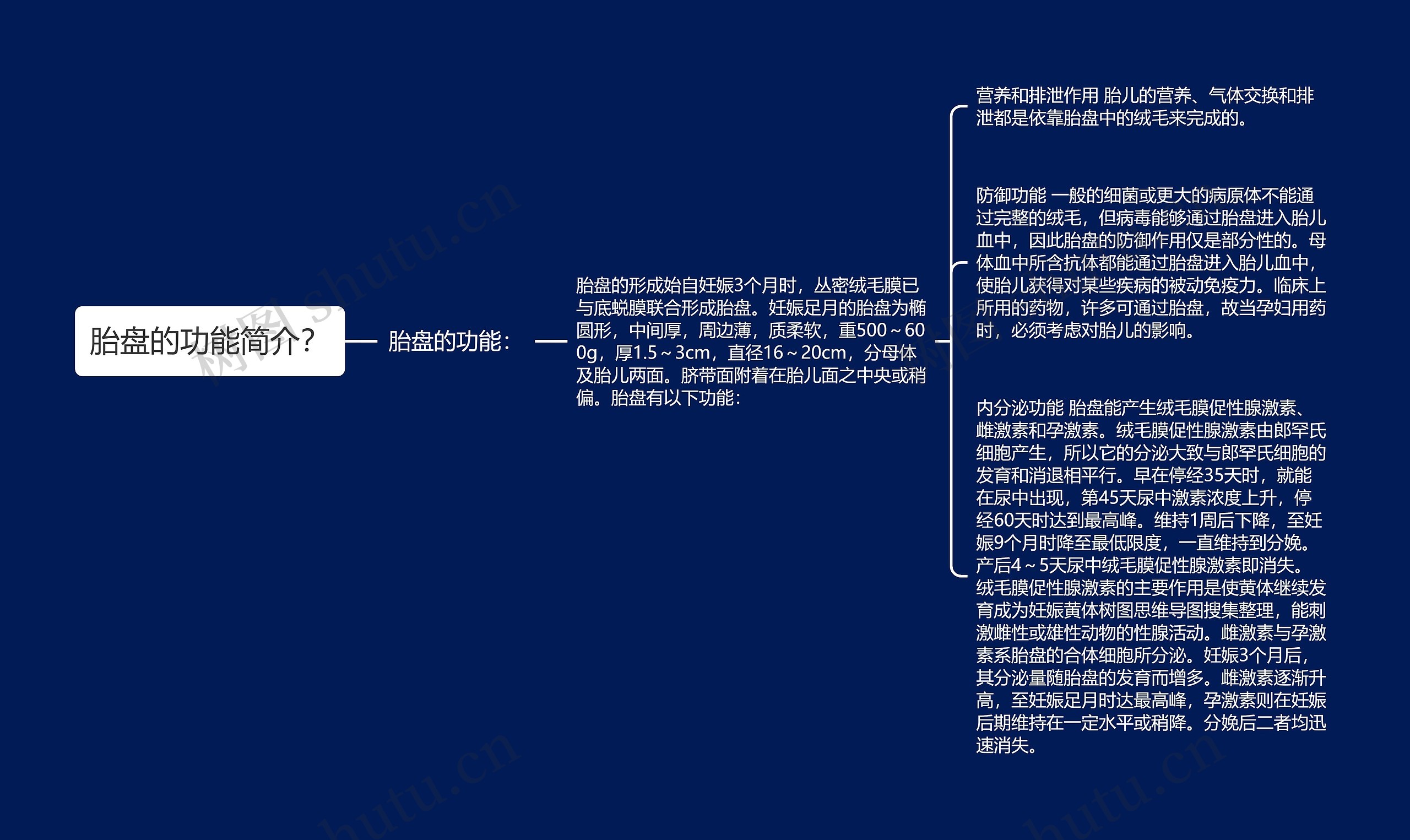 胎盘的功能简介？思维导图