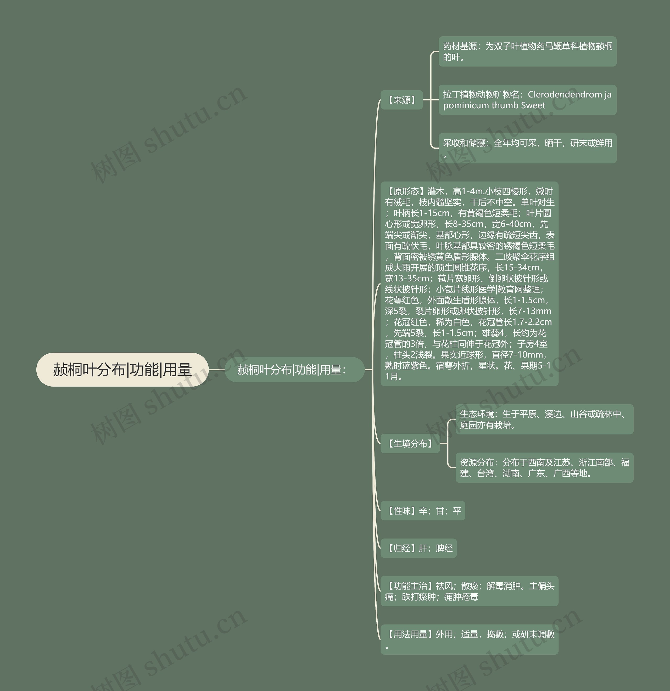 赪桐叶分布|功能|用量 赪桐叶分布|功能|用量