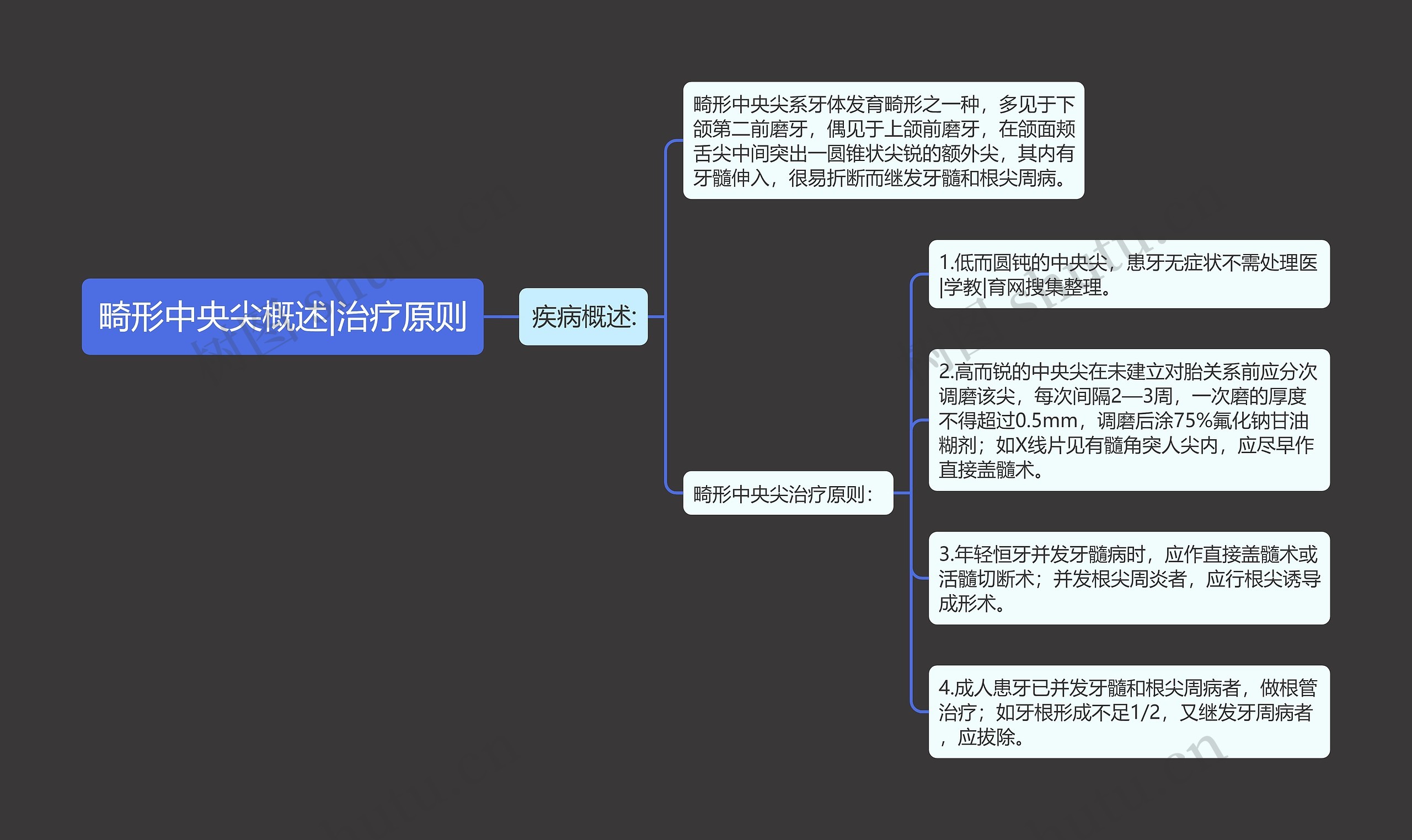 畸形中央尖概述|治疗原则思维导图