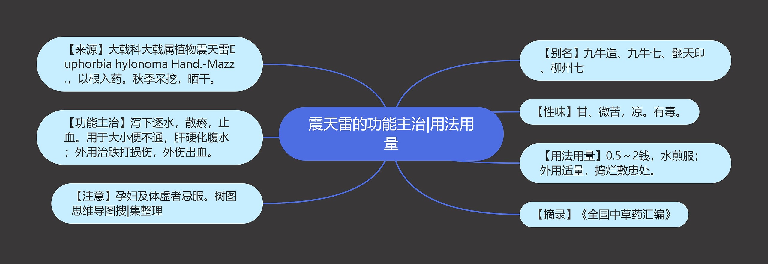 震天雷的功能主治|用法用量 震天雷的功能主治|用法用量