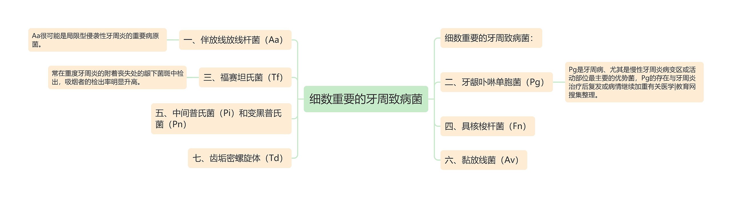 细数重要的牙周致病菌思维导图