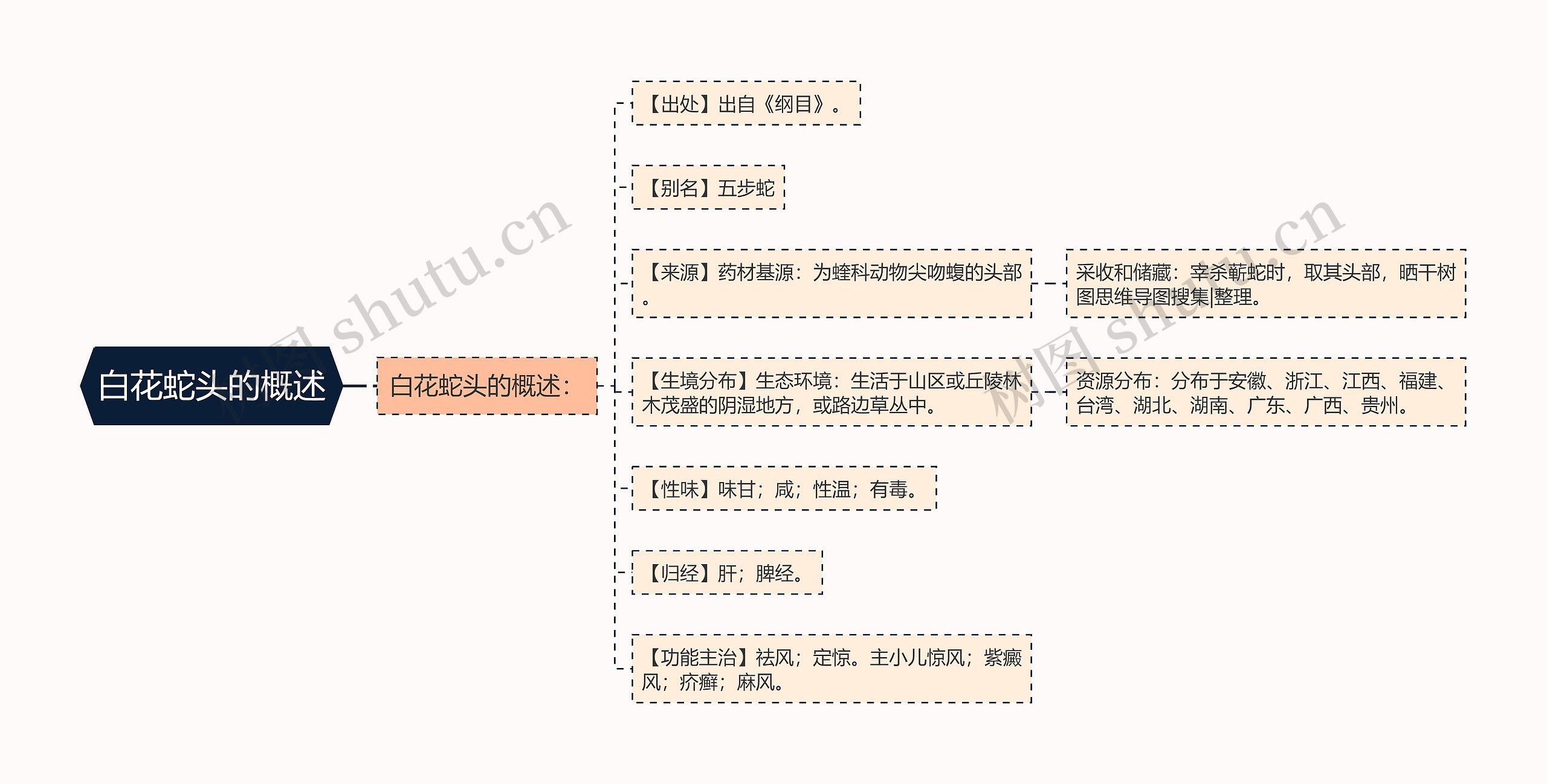 白花蛇头的概述思维导图