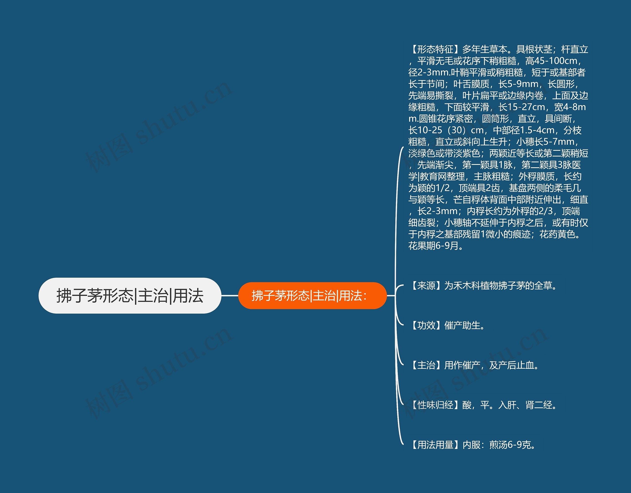 拂子茅形态|主治|用法思维导图