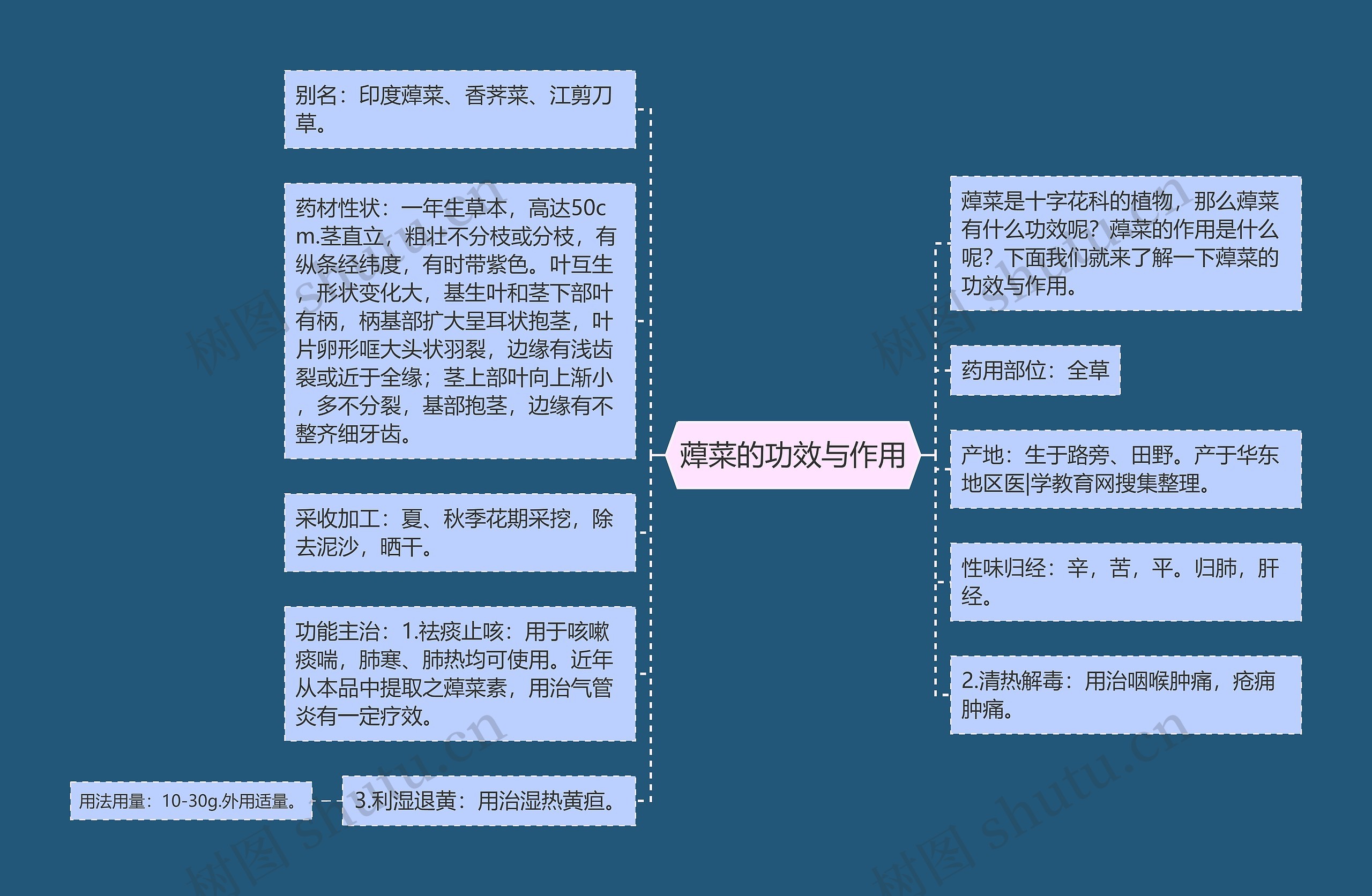 蔊菜的功效与作用思维导图