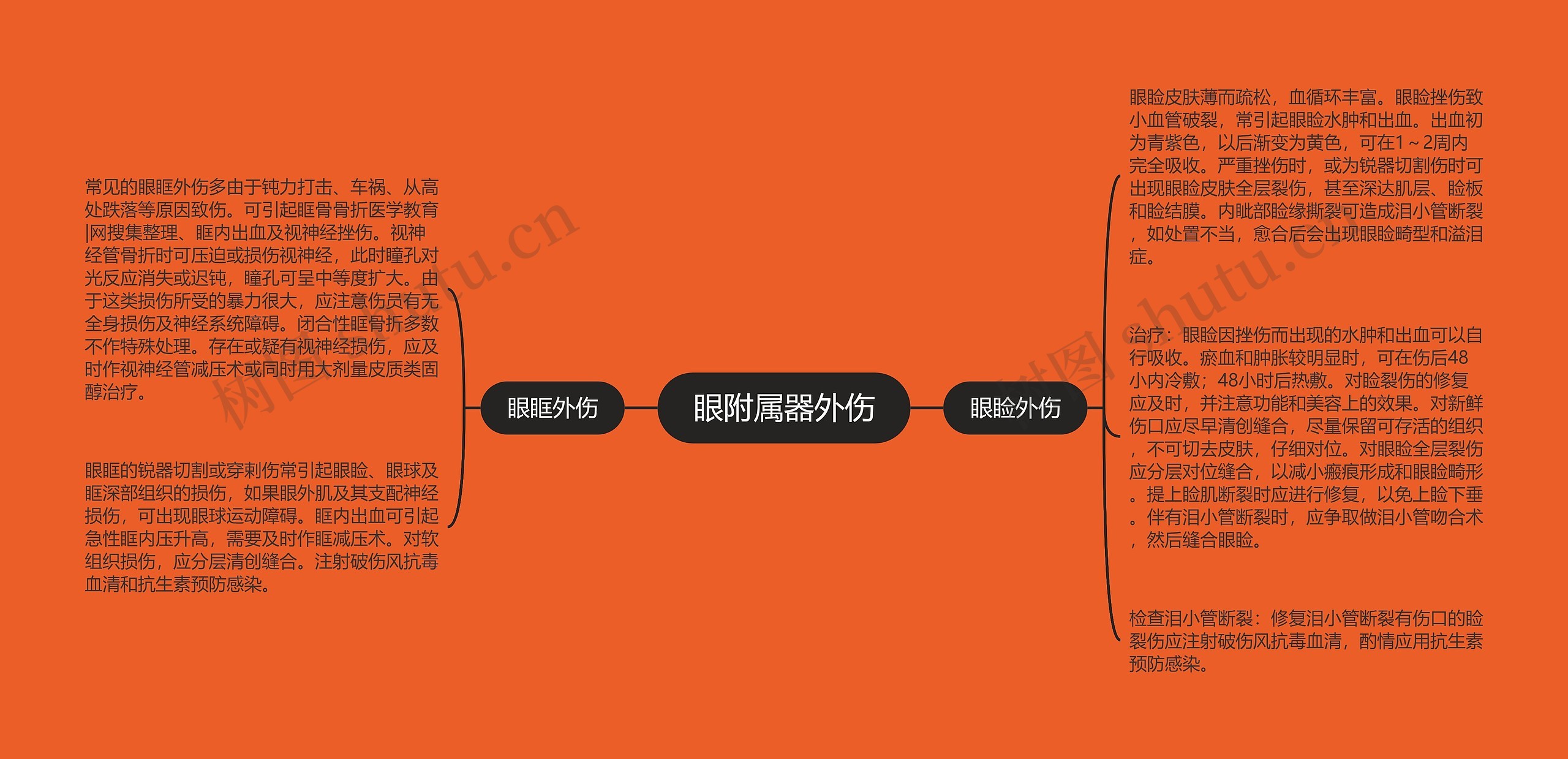 眼附属器外伤 眼附属器外伤