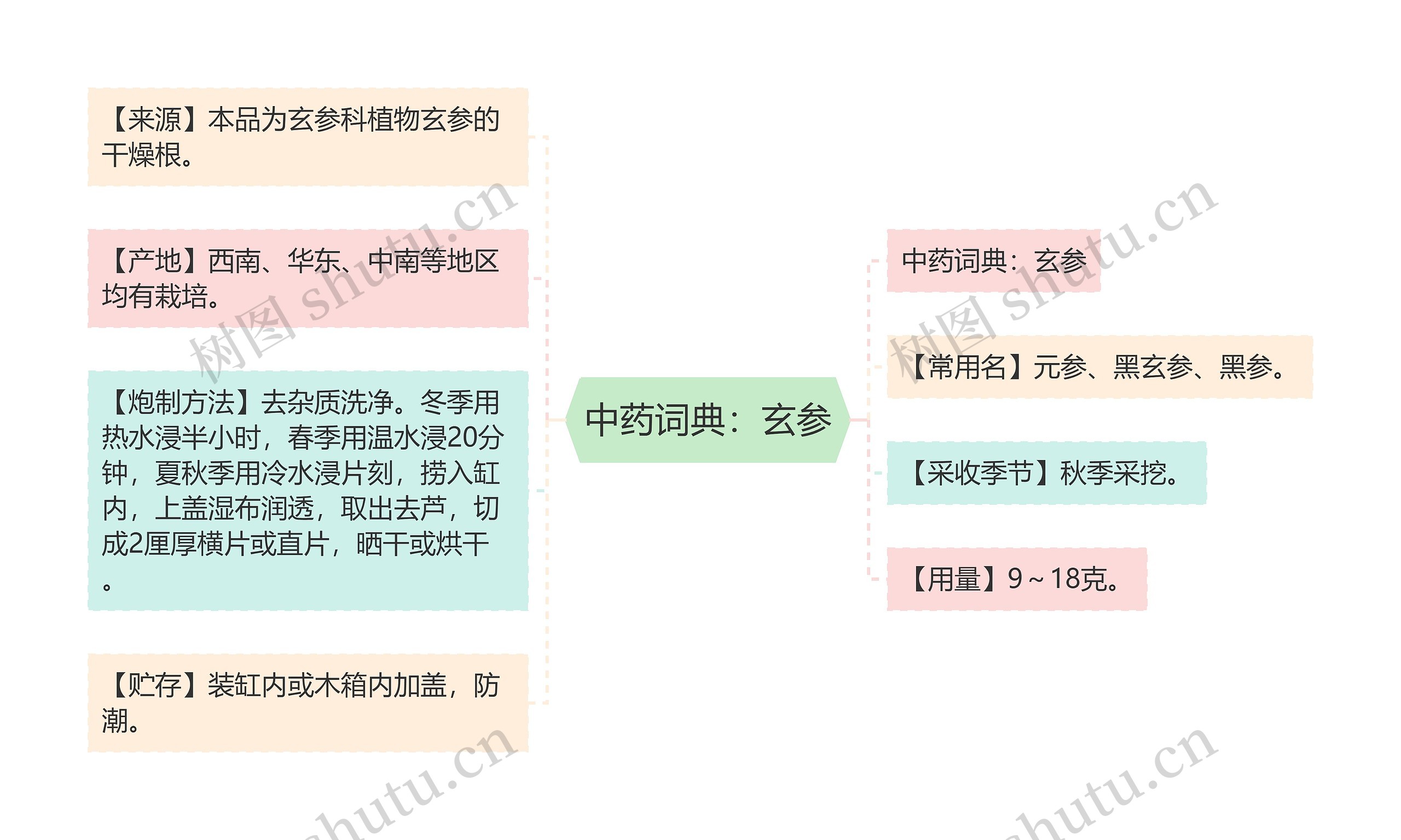 中药词典：玄参思维导图