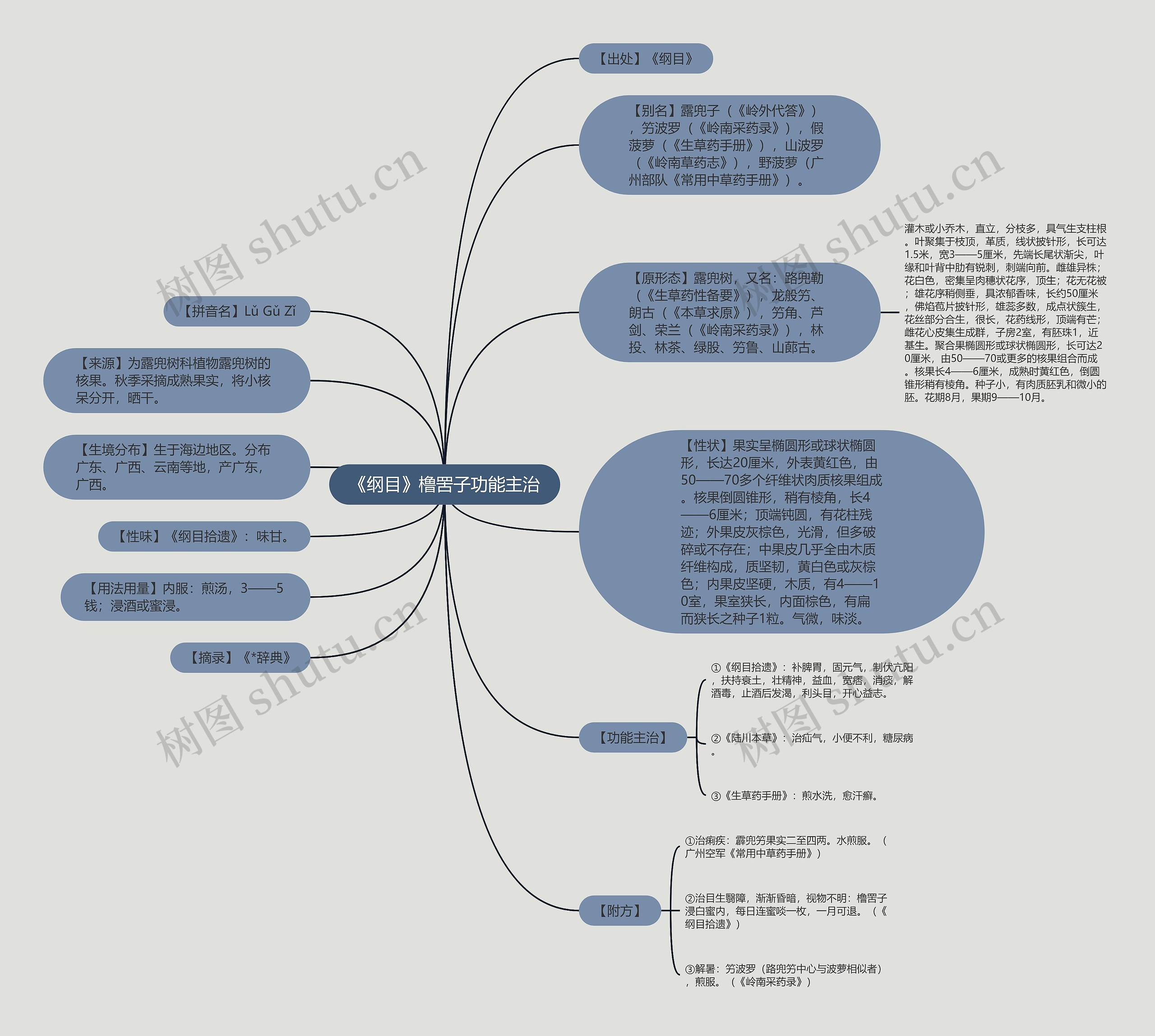 《纲目》橹罟子功能主治思维导图