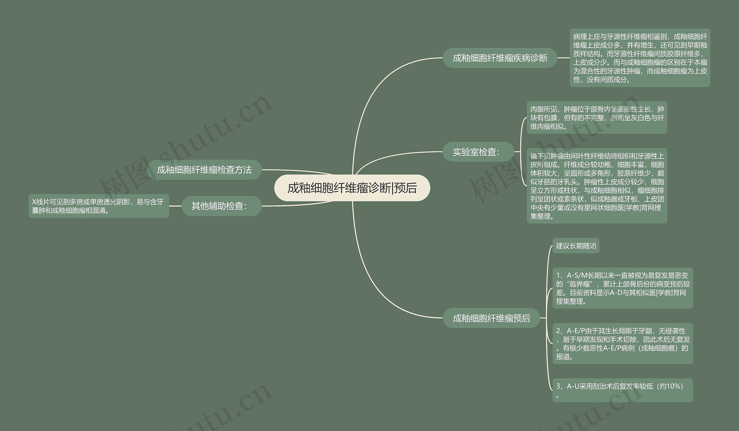 成釉细胞纤维瘤诊断|预后 成釉细胞纤维瘤诊断|预后
