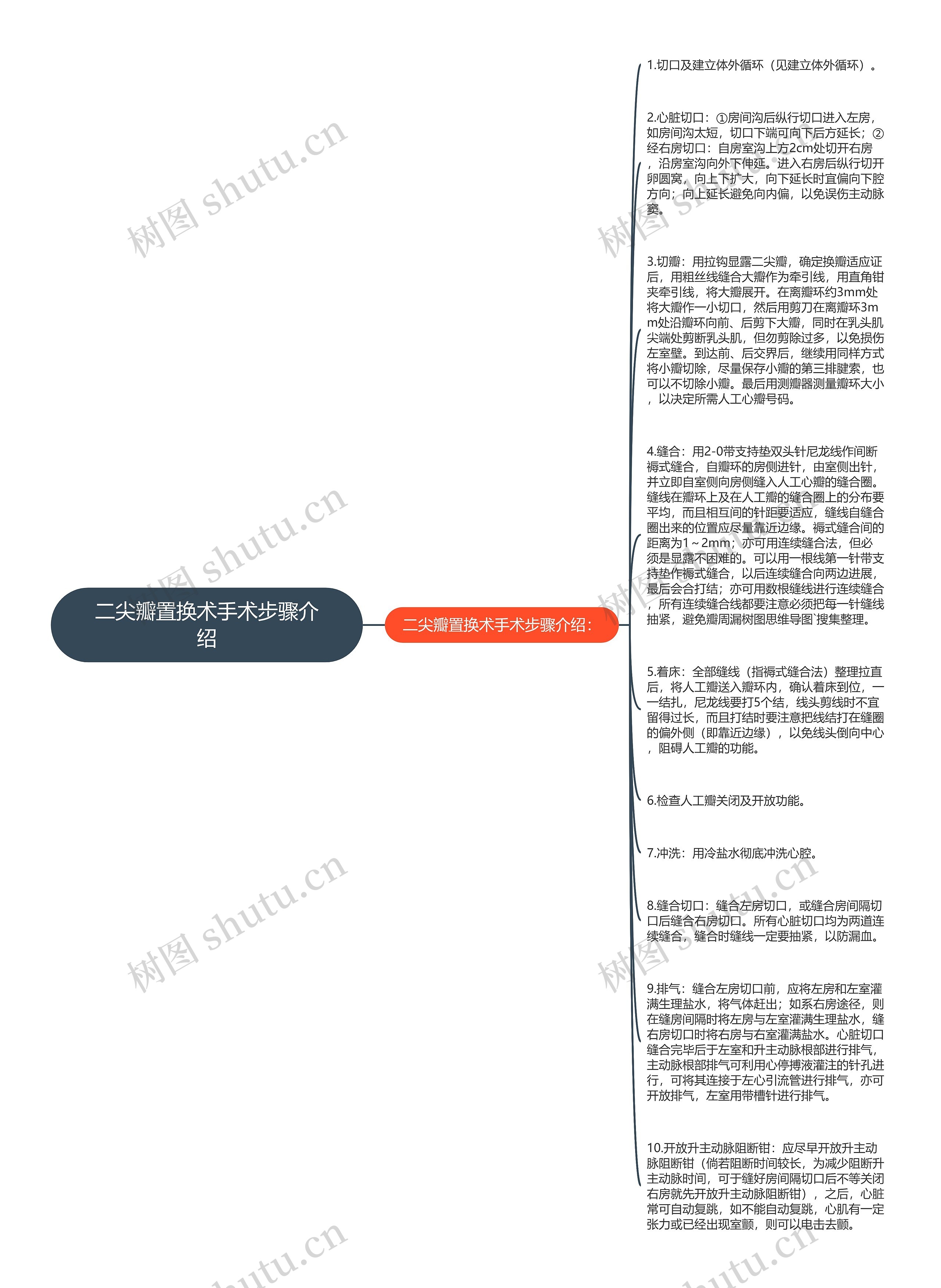 二尖瓣置换术手术步骤介绍思维导图