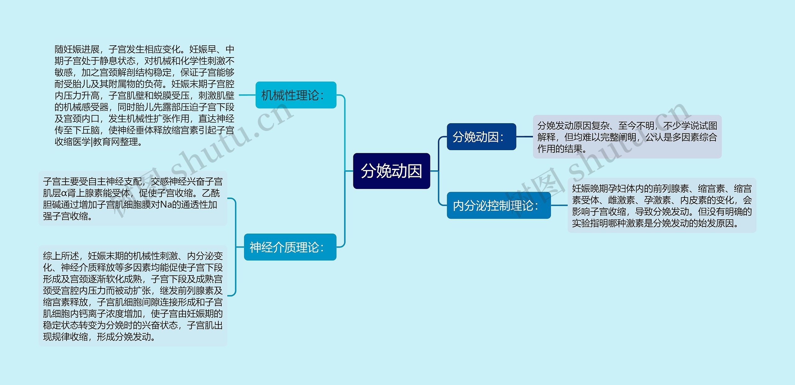 分娩动因思维导图