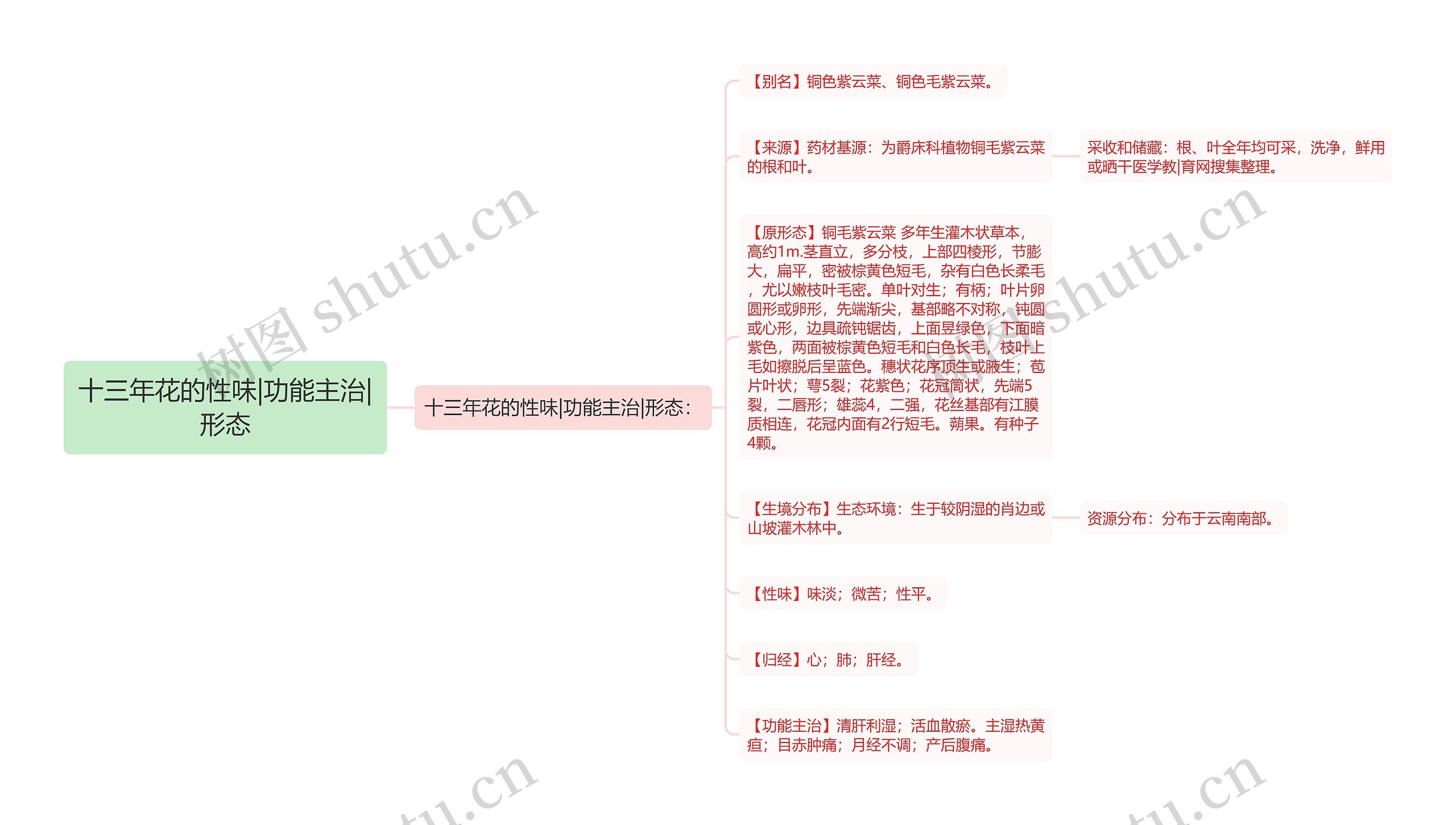 十三年花的性味|功能主治|形态思维导图