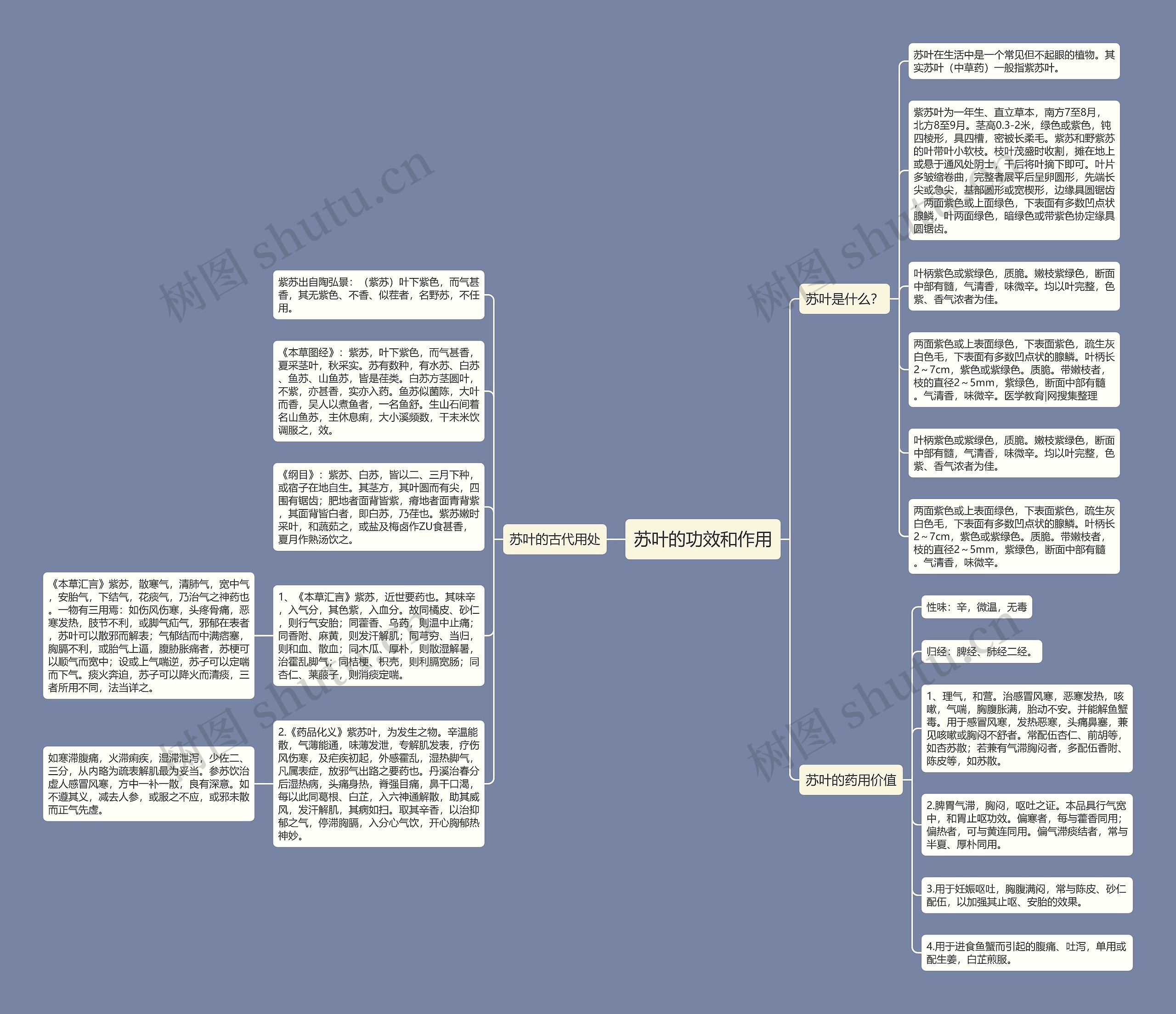苏叶的功效和作用思维导图