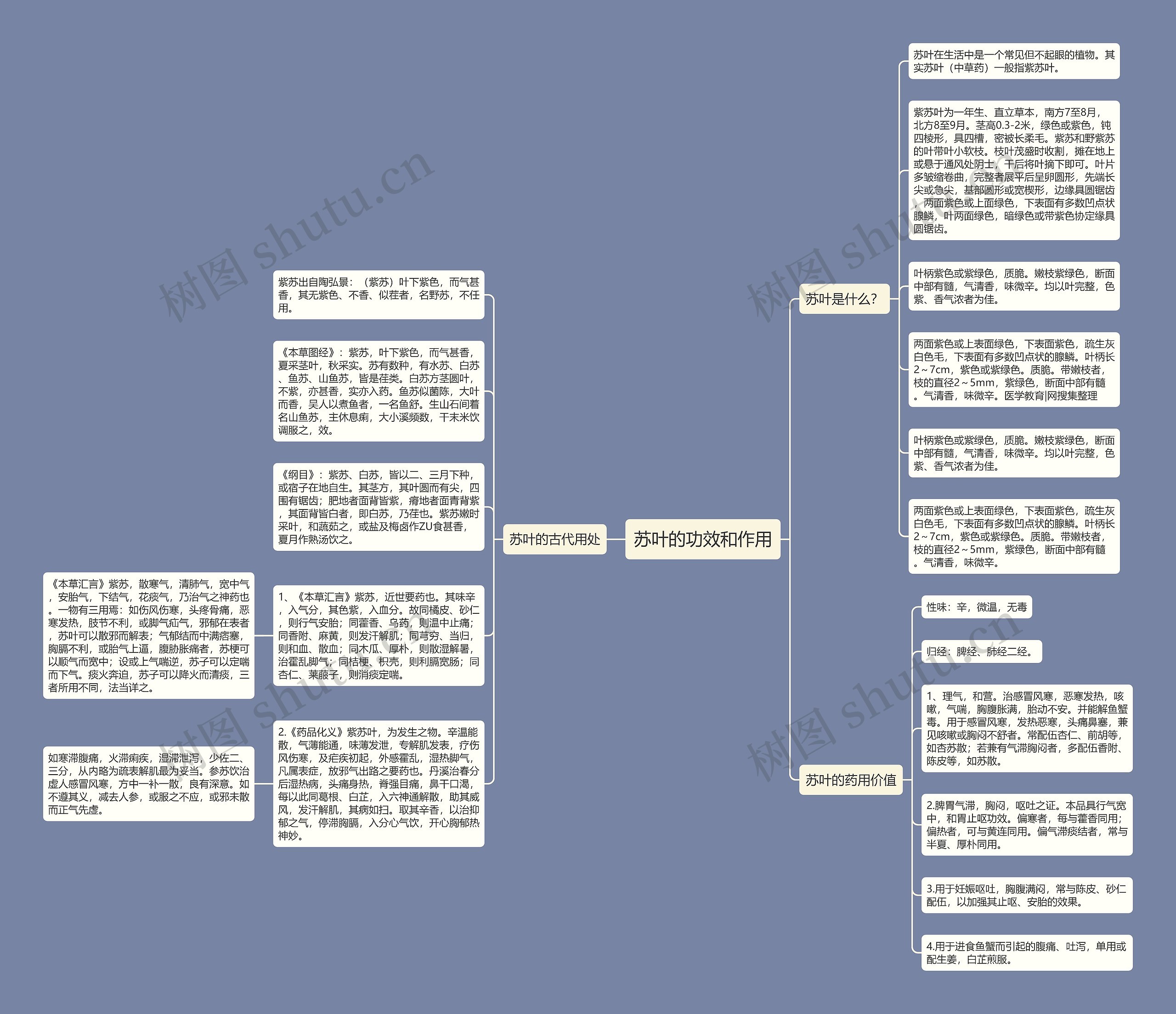 苏叶的功效和作用 苏叶的功效和作用
