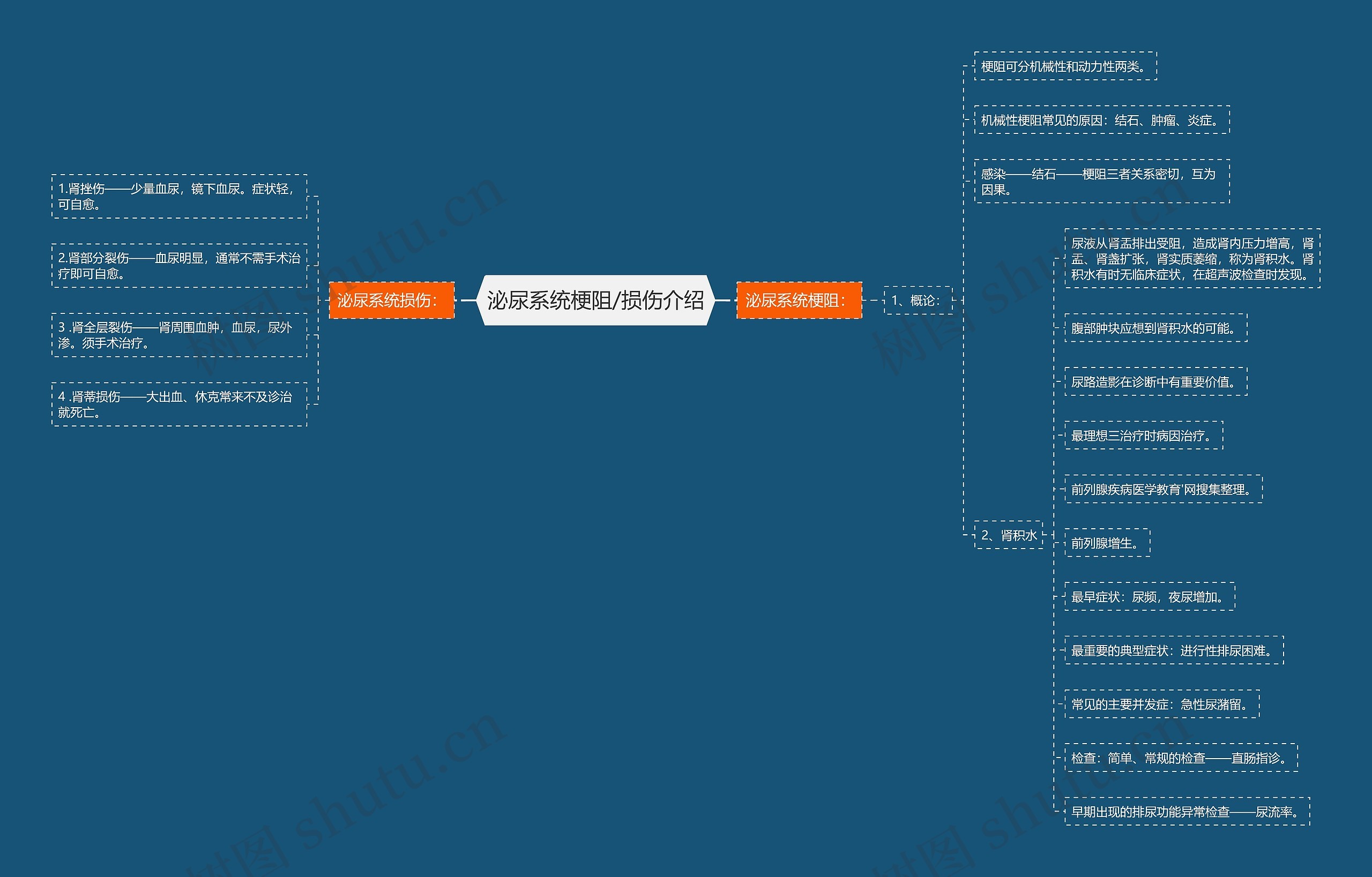 泌尿系统梗阻/损伤介绍 泌尿系统梗阻/损伤介绍