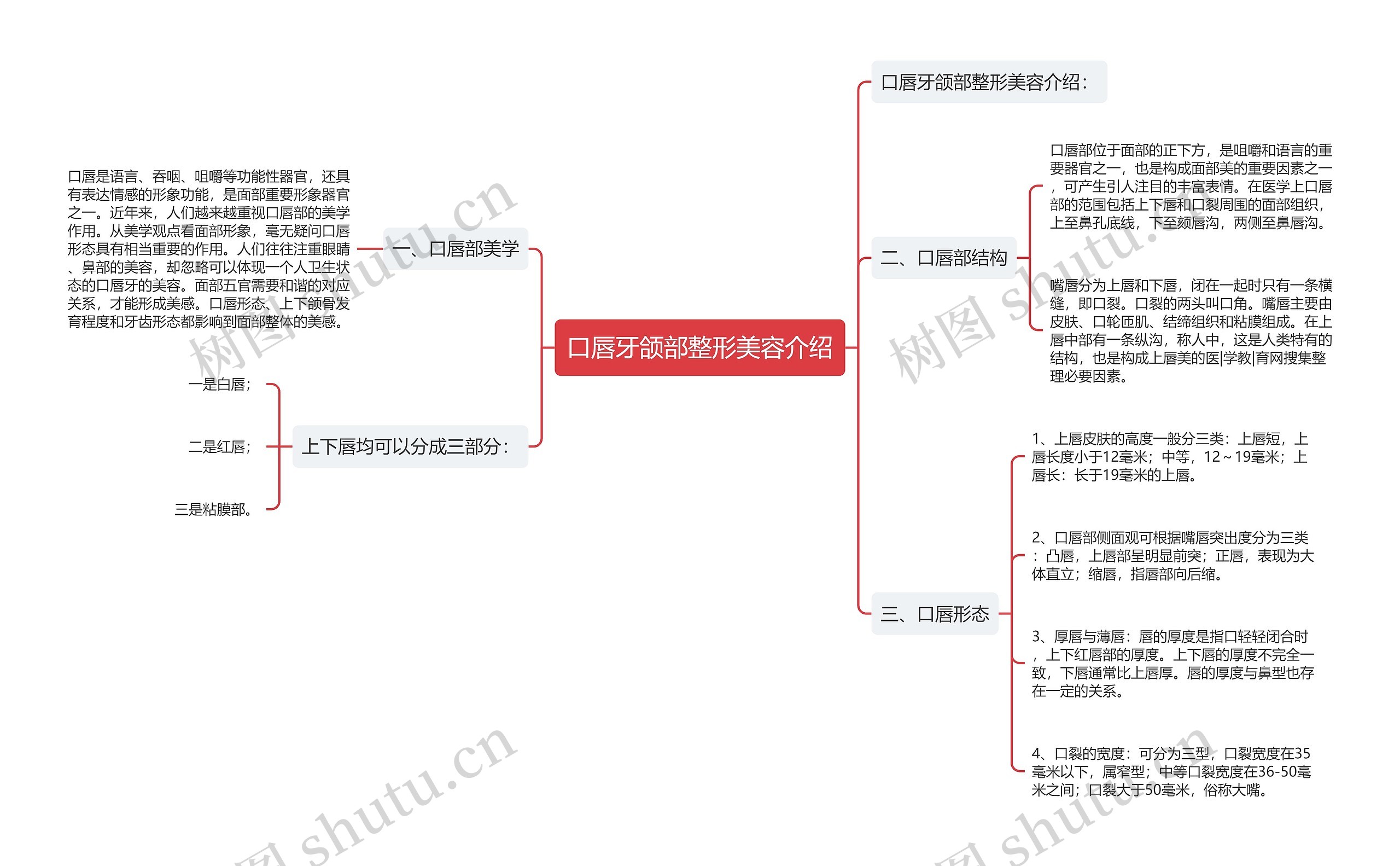 口唇牙颌部整形美容介绍思维导图