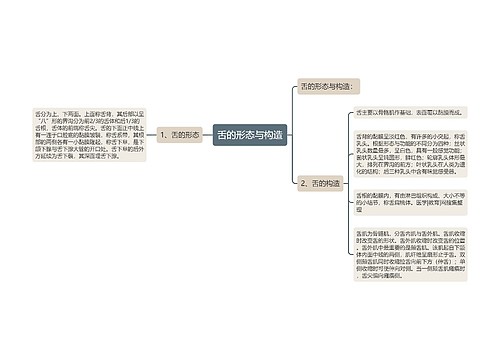 舌的形态与构造