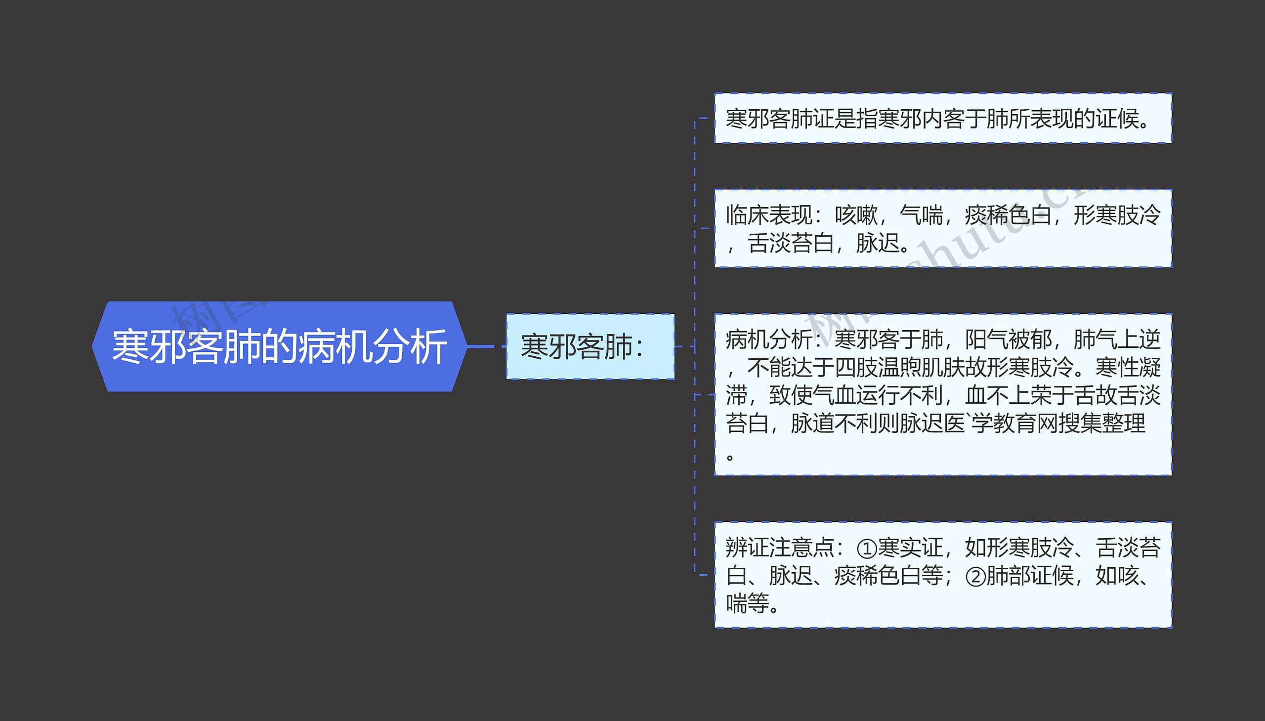 寒邪客肺的病机分析思维导图