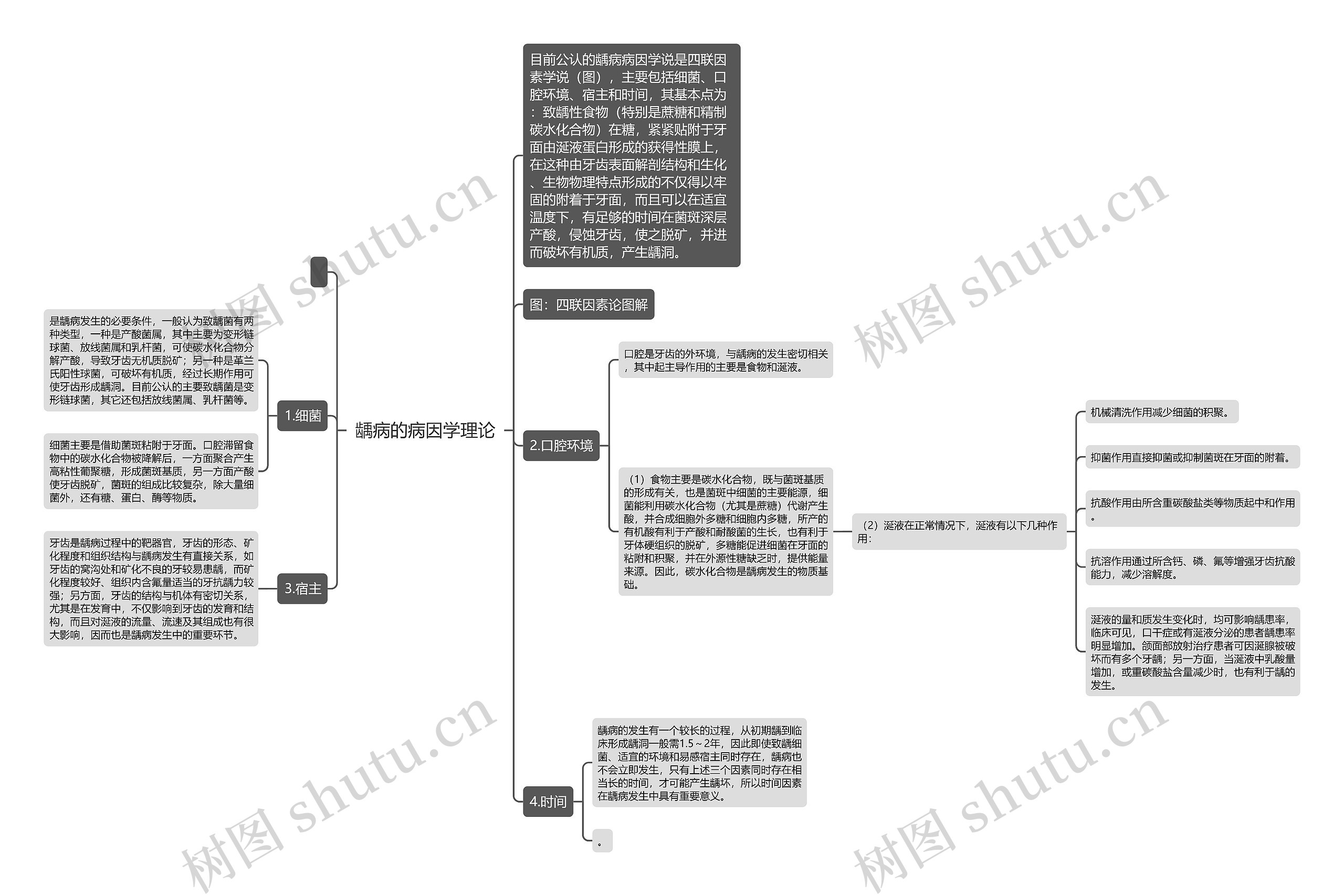 龋病的病因学理论 龋病的病因学理论