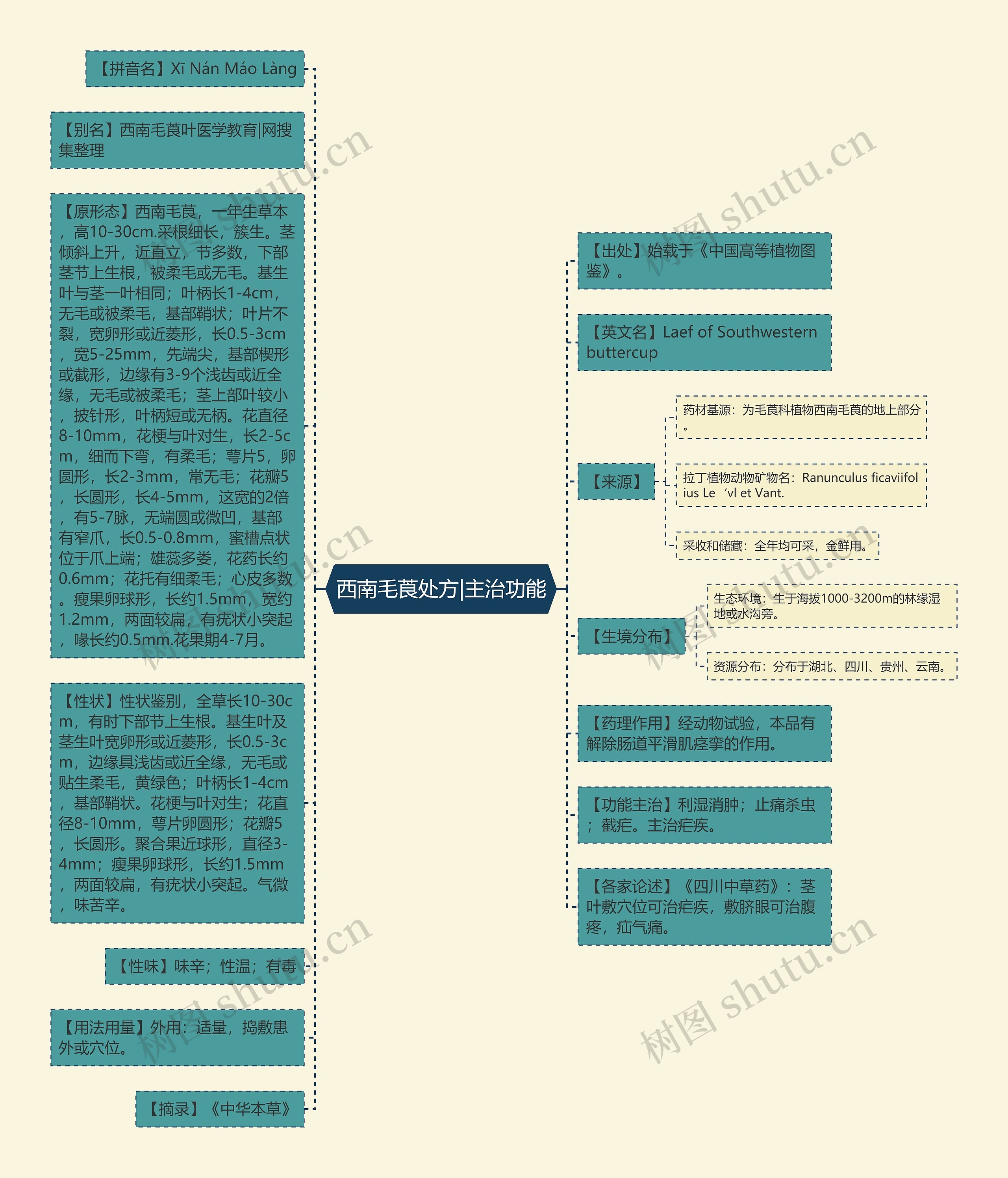 西南毛莨处方|主治功能思维导图