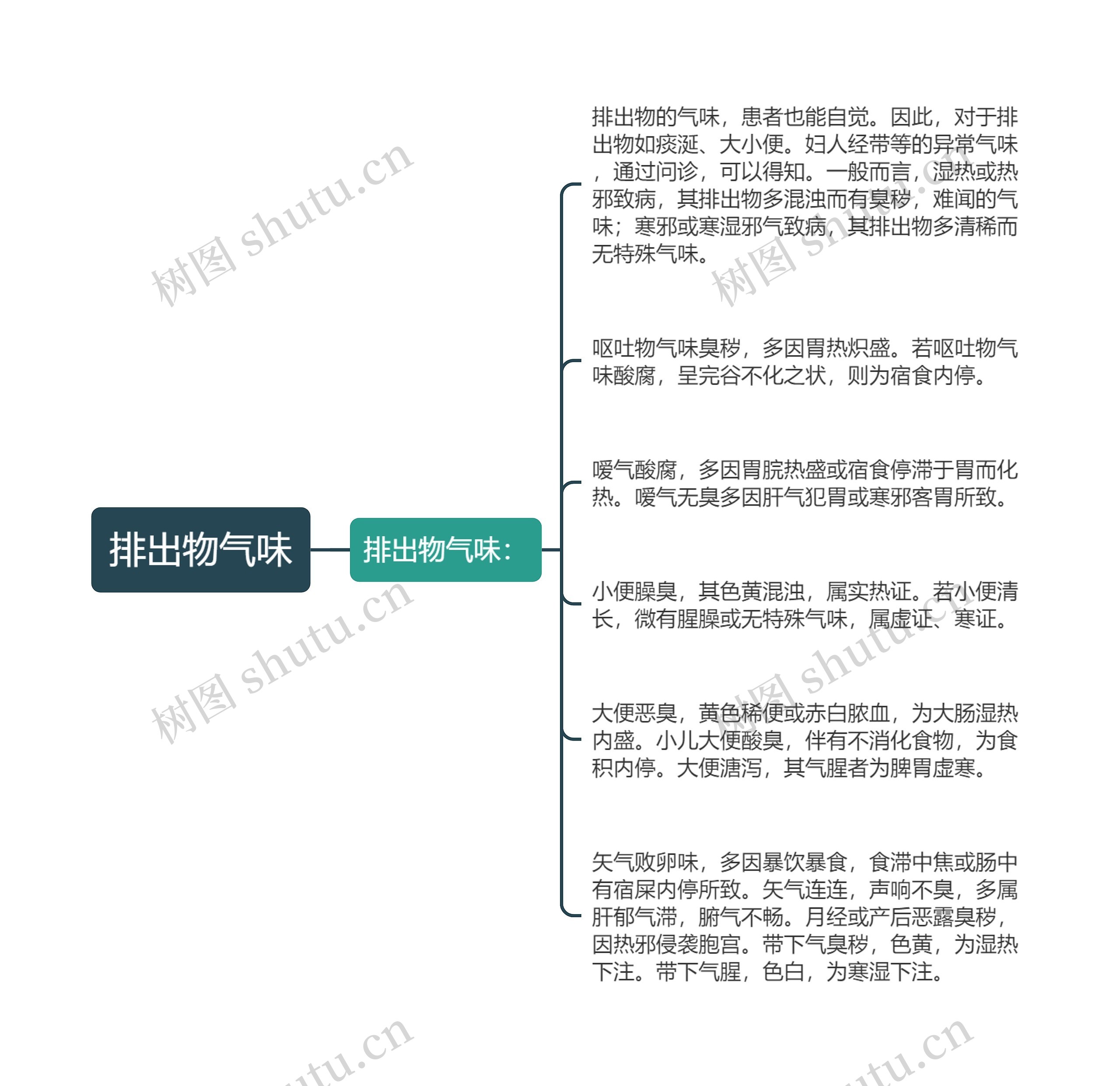 排出物气味思维导图