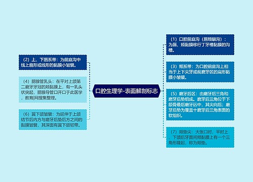 口腔生理学-表面解剖标志