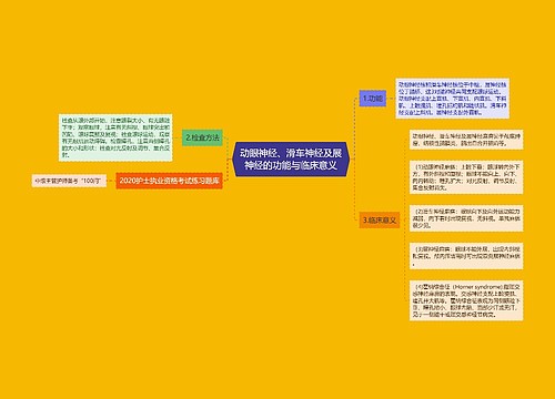 动眼神经、滑车神经及展神经的功能与临床意义