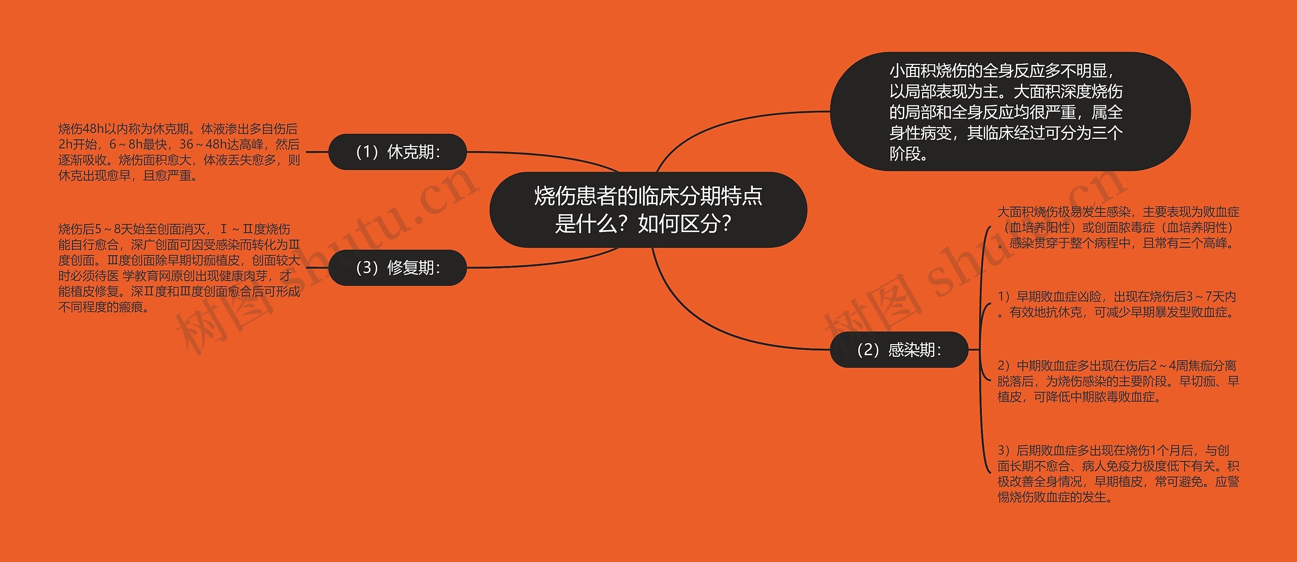 烧伤患者的临床分期特点是什么？如何区分？思维导图