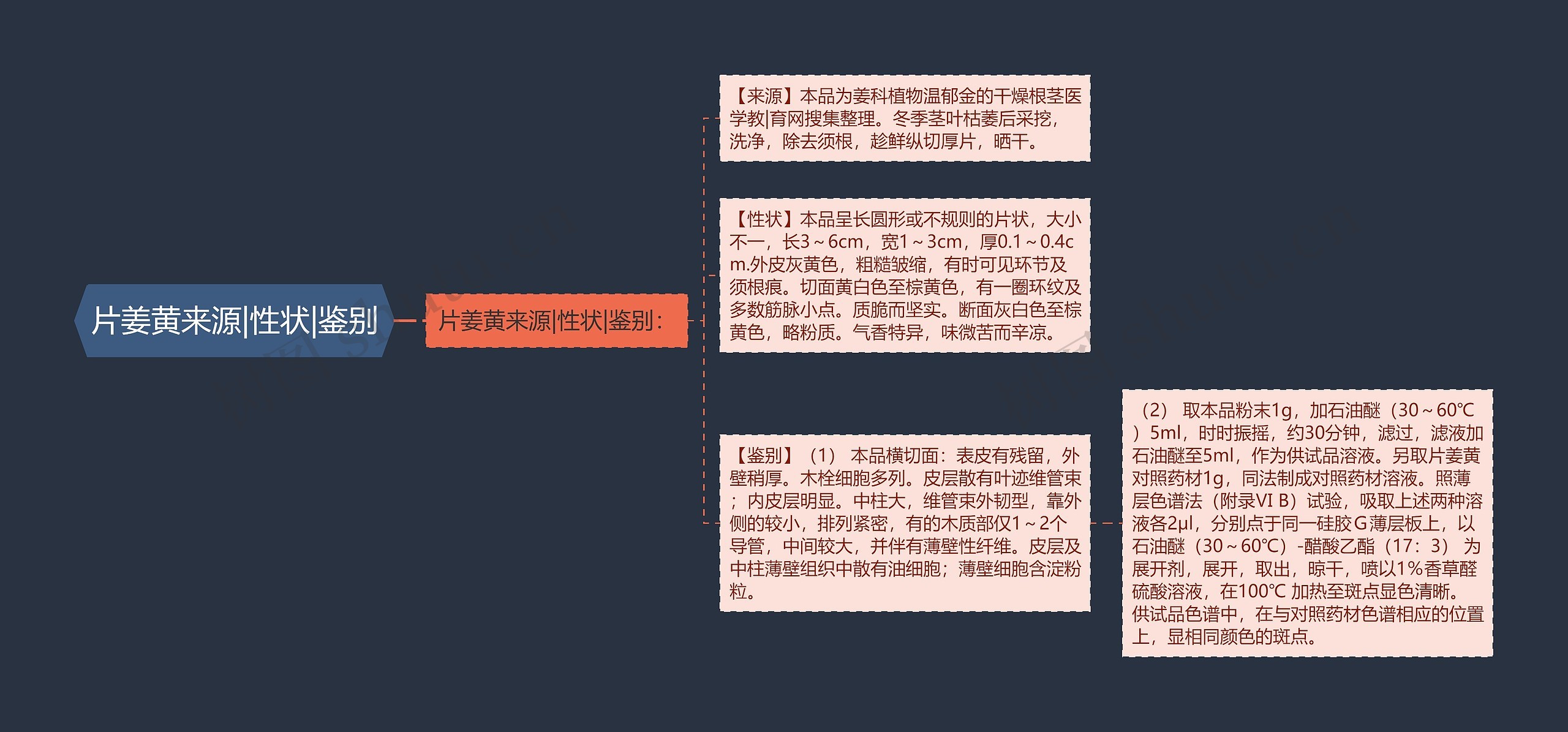 片姜黄来源|性状|鉴别