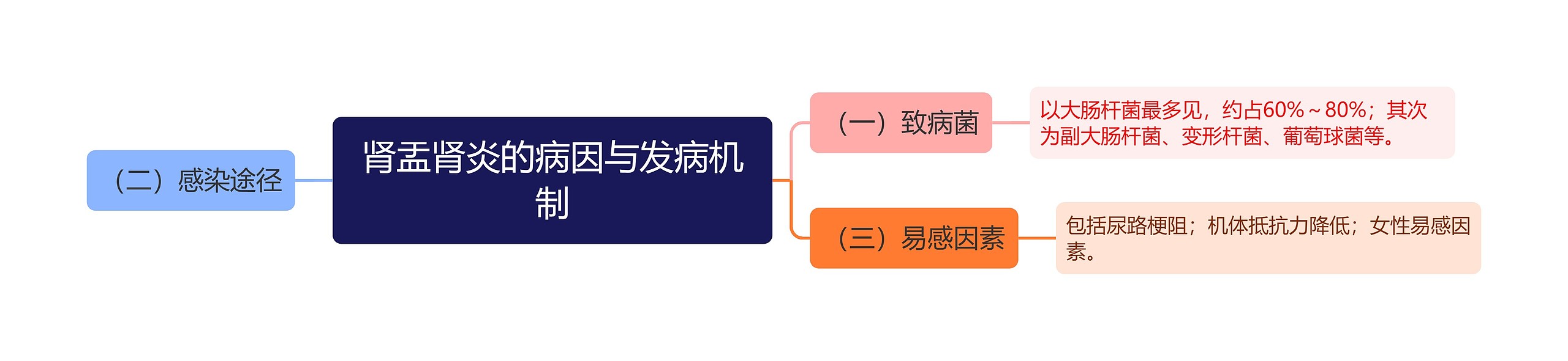 肾盂肾炎的病因与发病机制思维导图