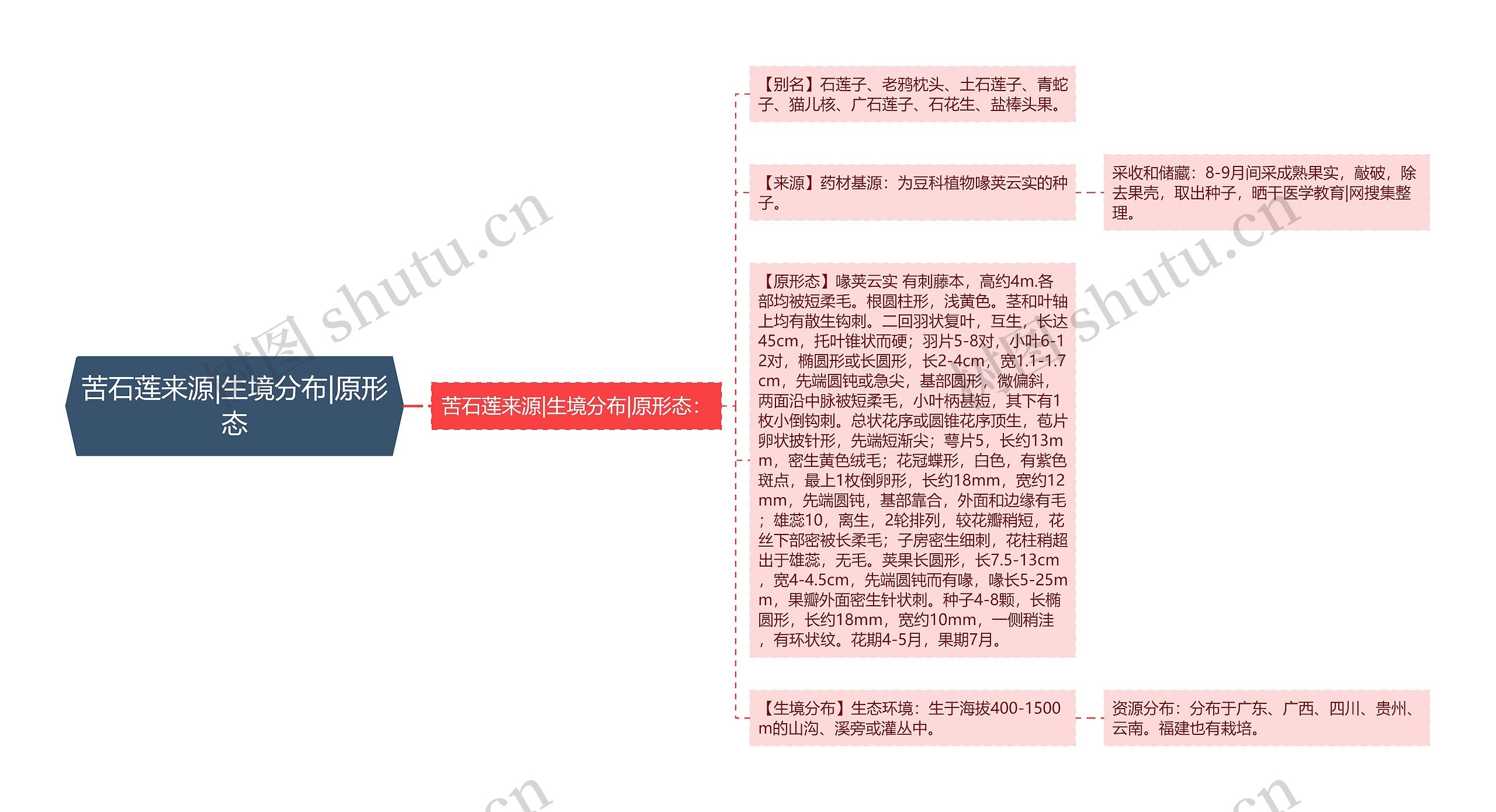 苦石莲来源|生境分布|原形态