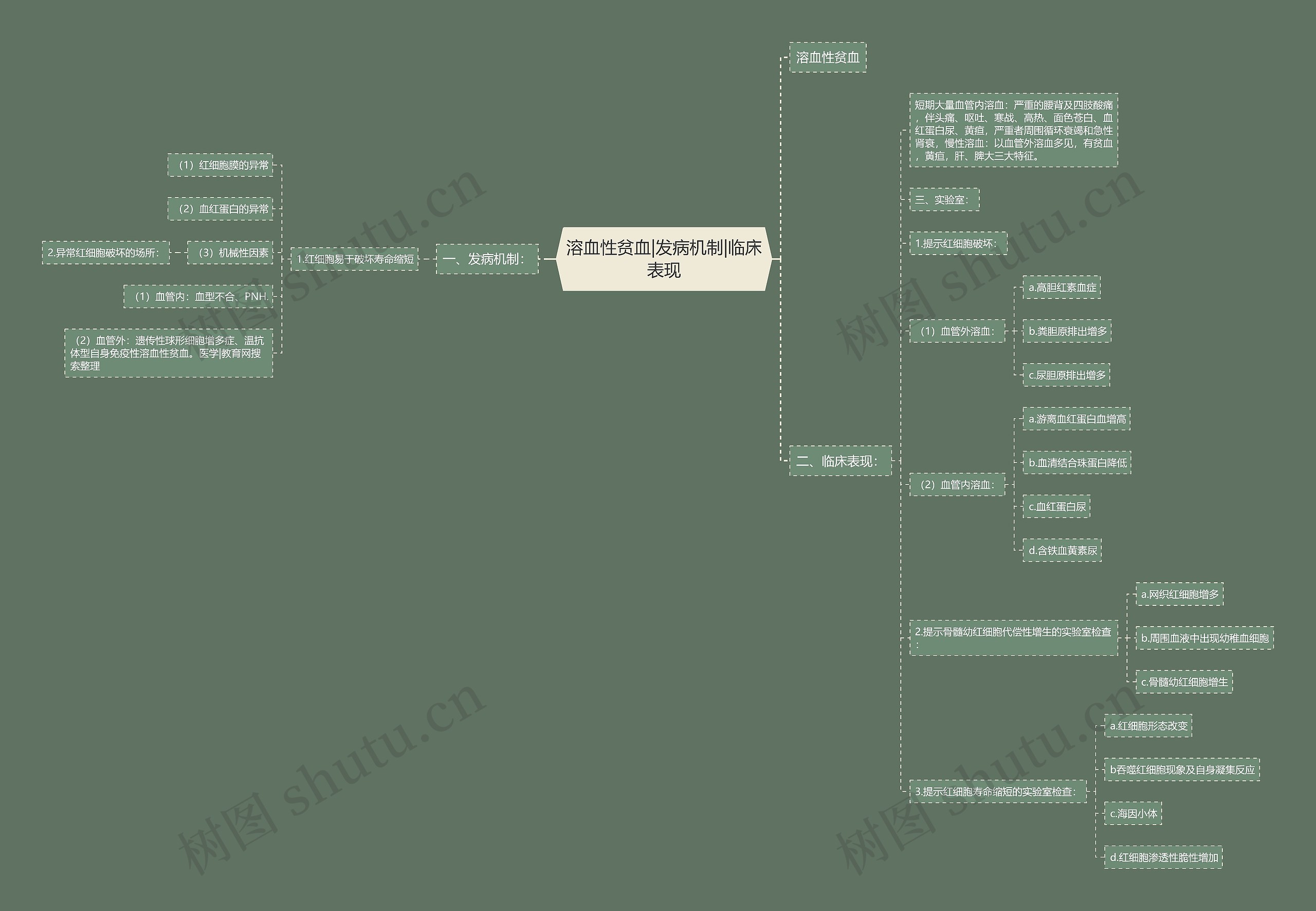 溶血性贫血|发病机制|临床表现思维导图