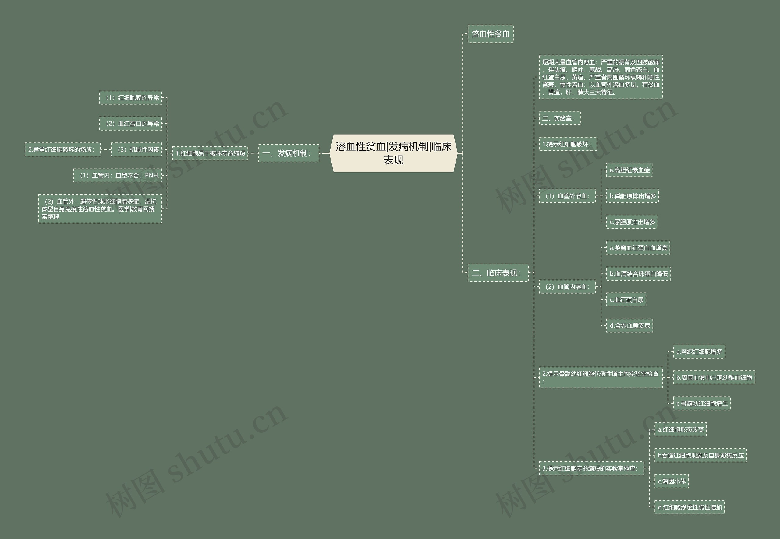 溶血性贫血|发病机制|临床表现 溶血性贫血|发病机制|临床表现