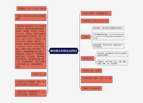 镰羽贯众来源|主治|用法