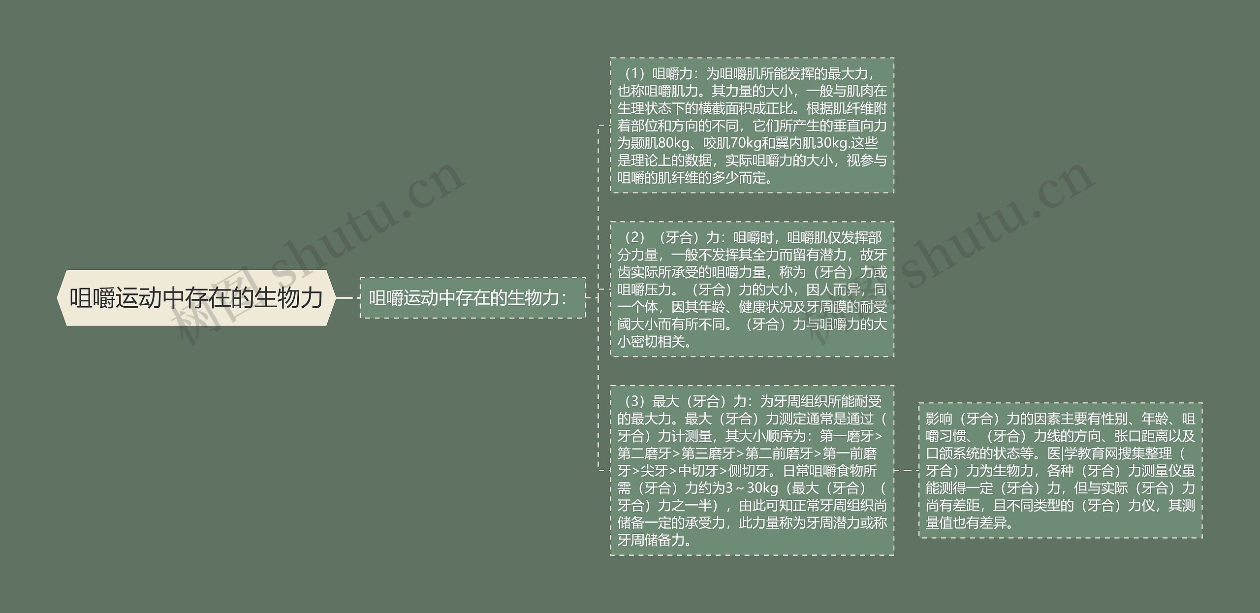 咀嚼运动中存在的生物力 咀嚼运动中存在的生物力