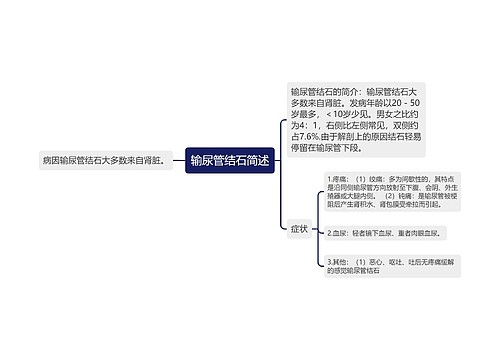 输尿管结石简述