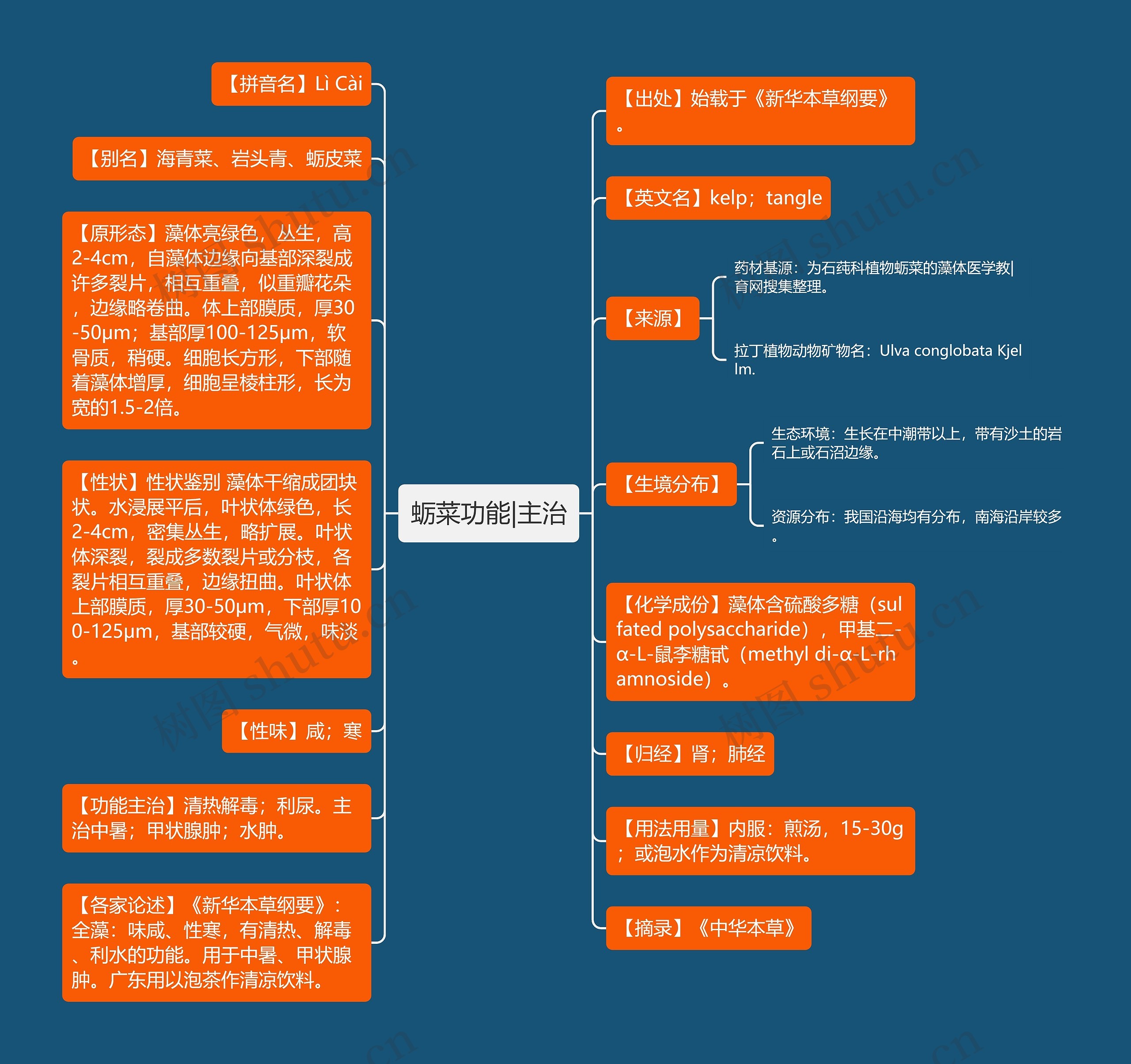 蛎菜功能|主治思维导图