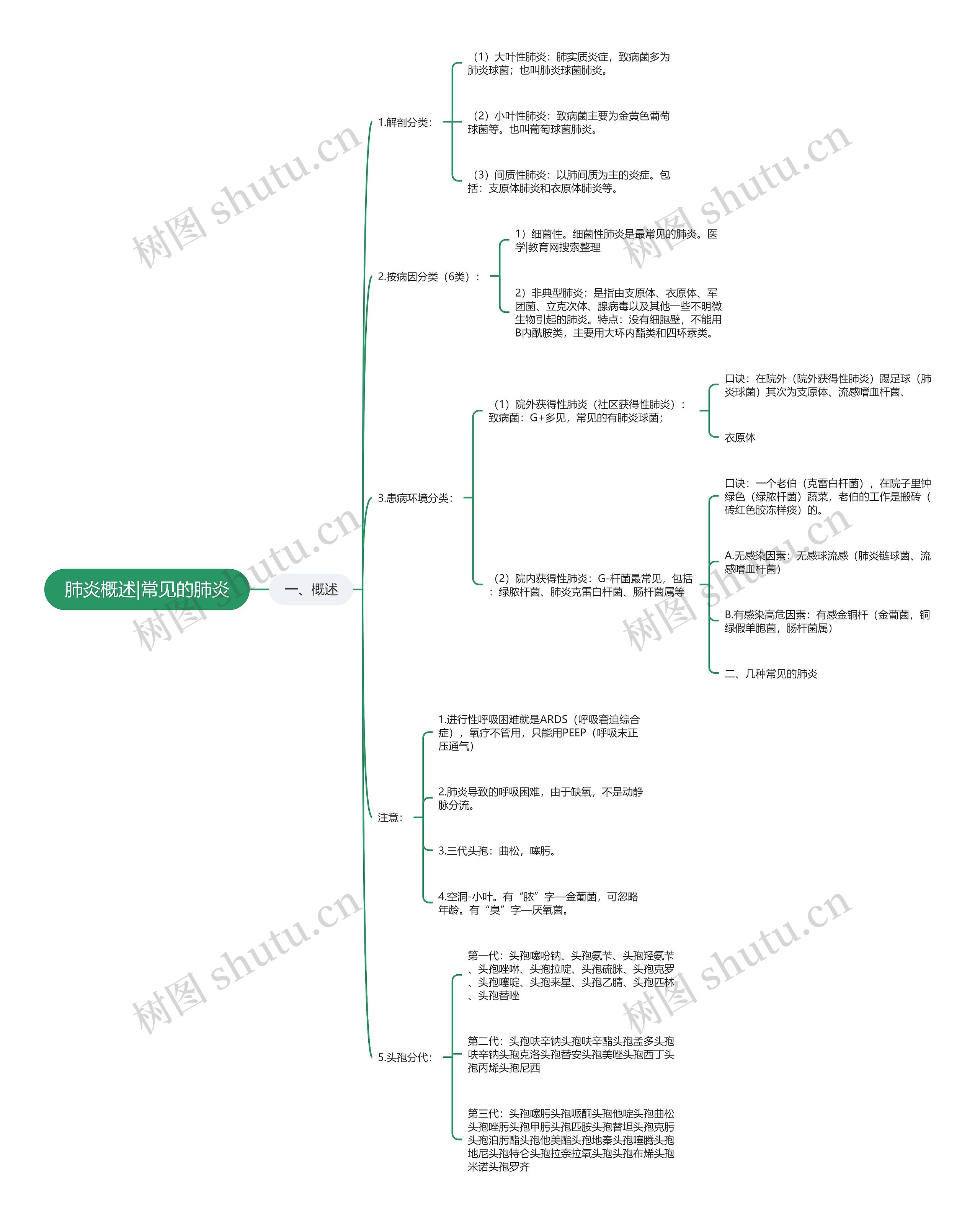 肺炎概述|常见的肺炎思维导图