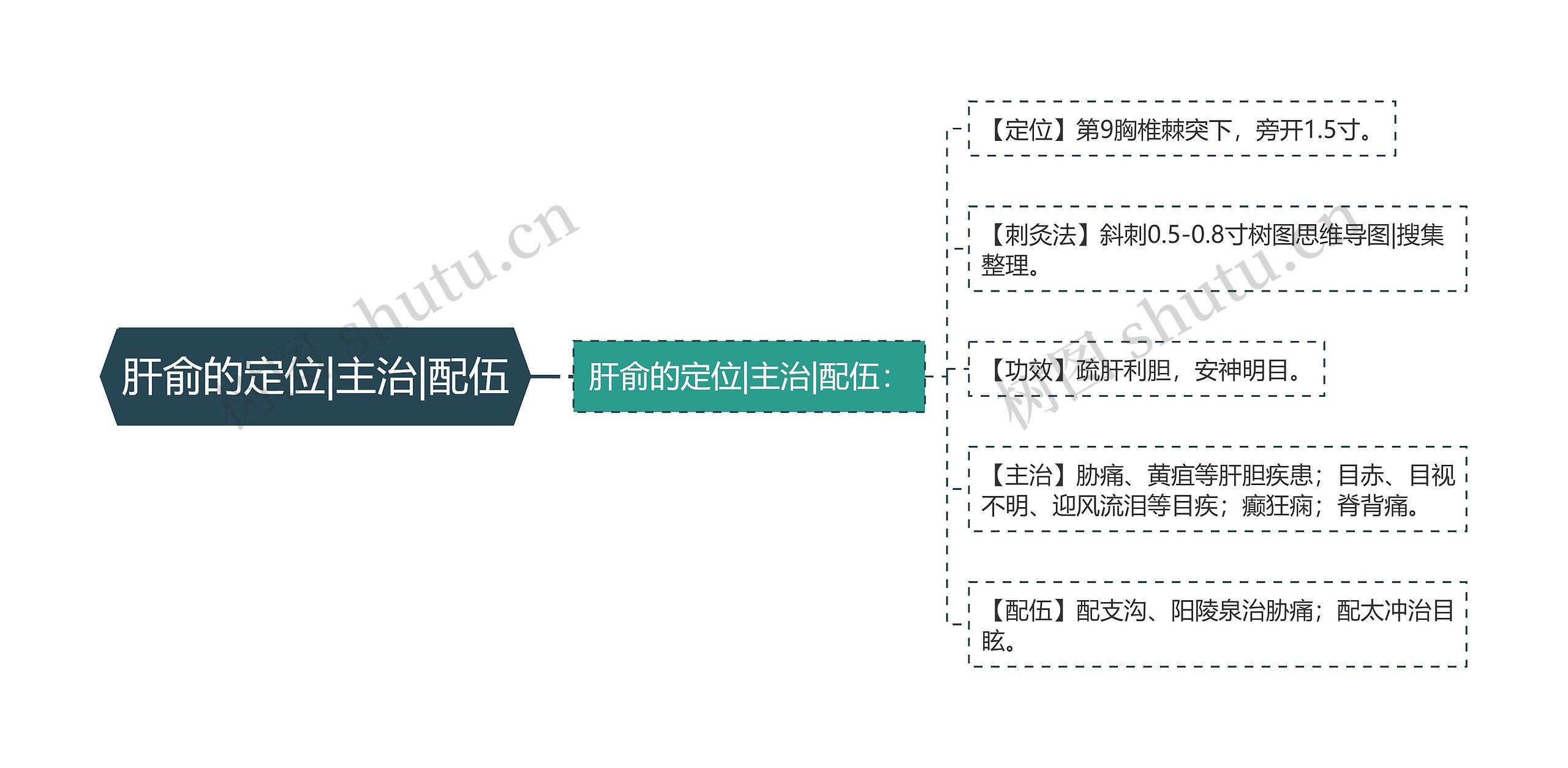 肝俞的定位|主治|配伍思维导图