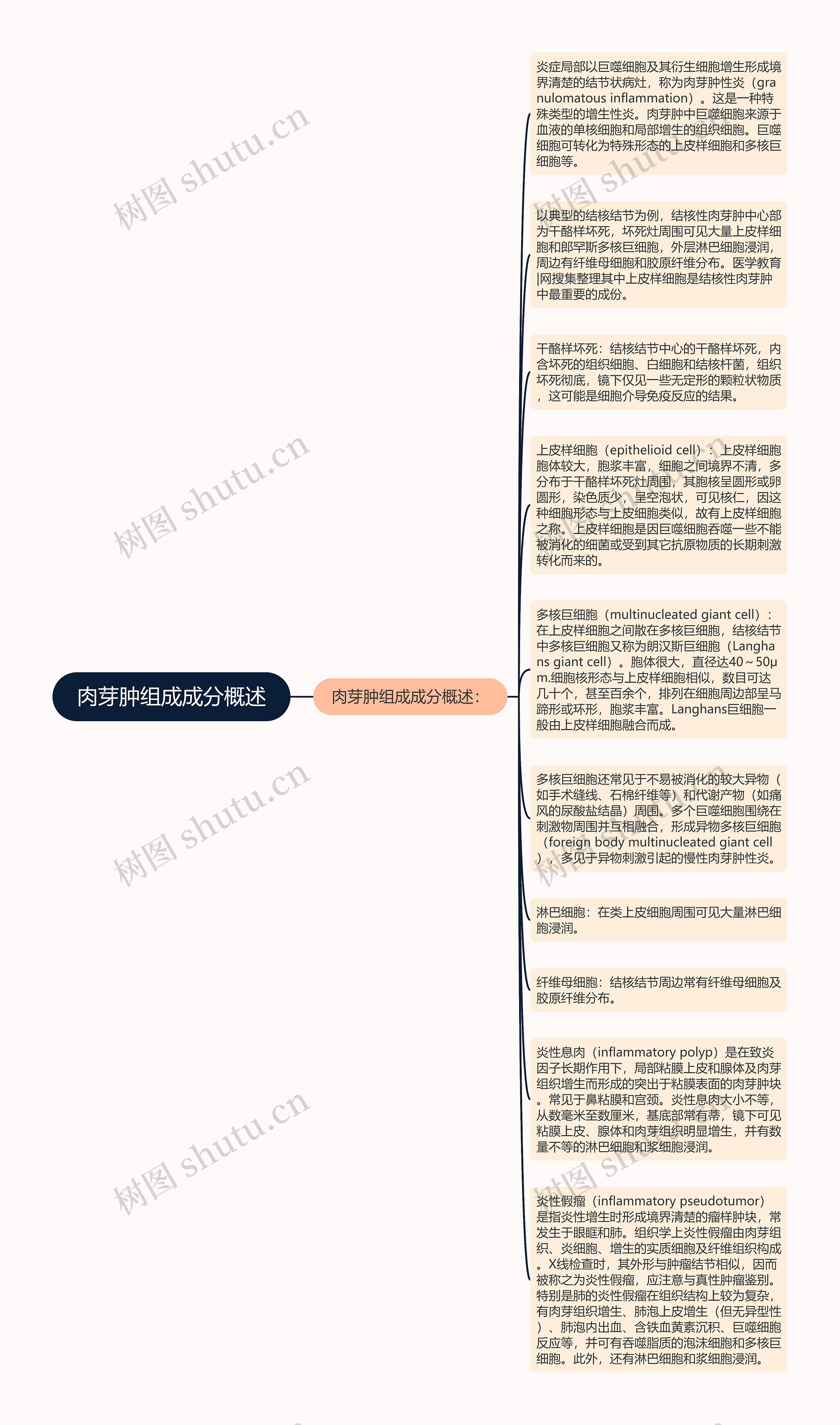 肉芽肿组成成分概述思维导图